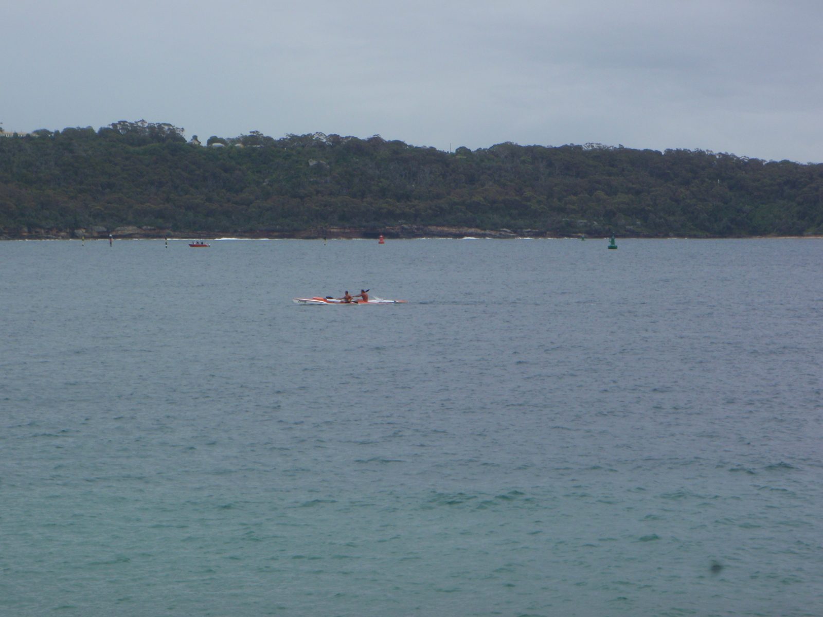 Some sea kayakers near Watson's Bay in Sydney Harbor.