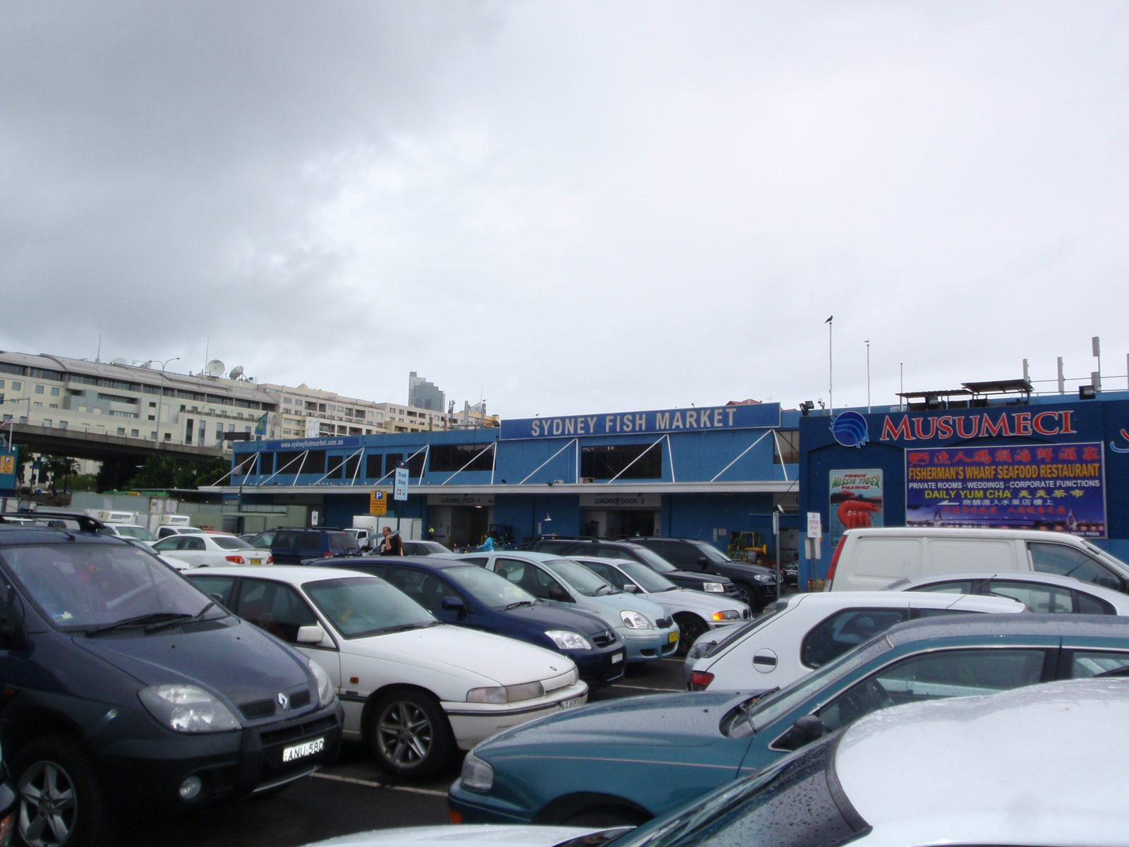 We went to the Sydney fish market on Sunday afternoon and were able to get there before it...