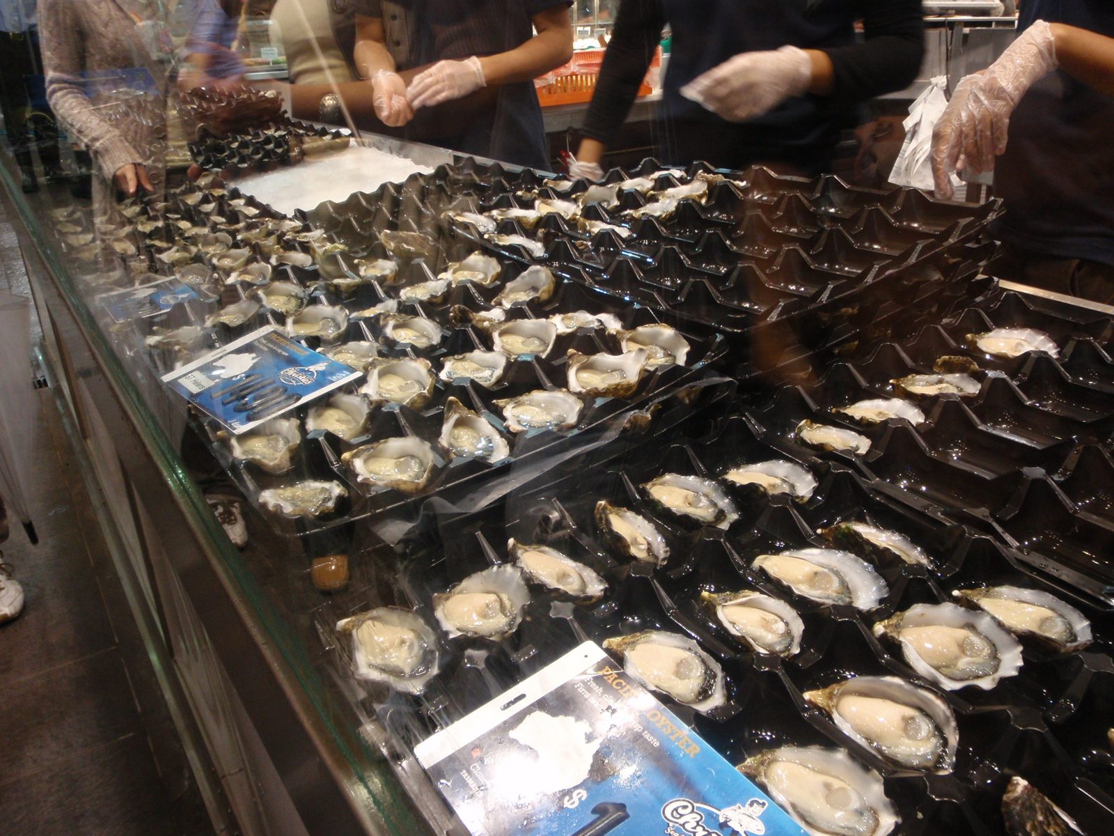 Oysters by the dozen!