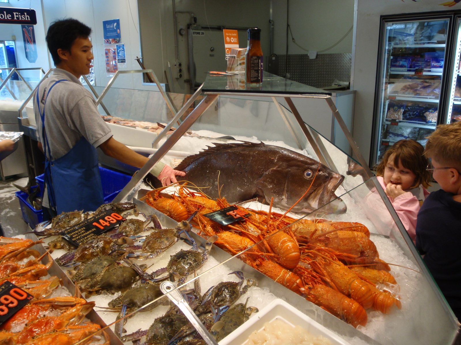 A fishmonger showing off a fish to some admiring Aussie children.