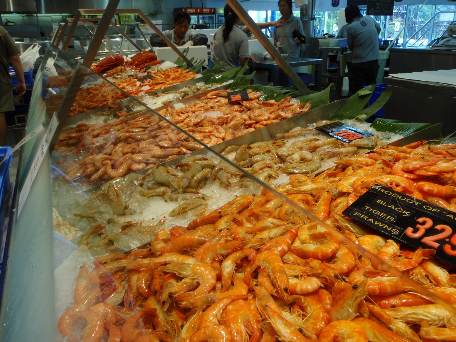 Seafood for sale.