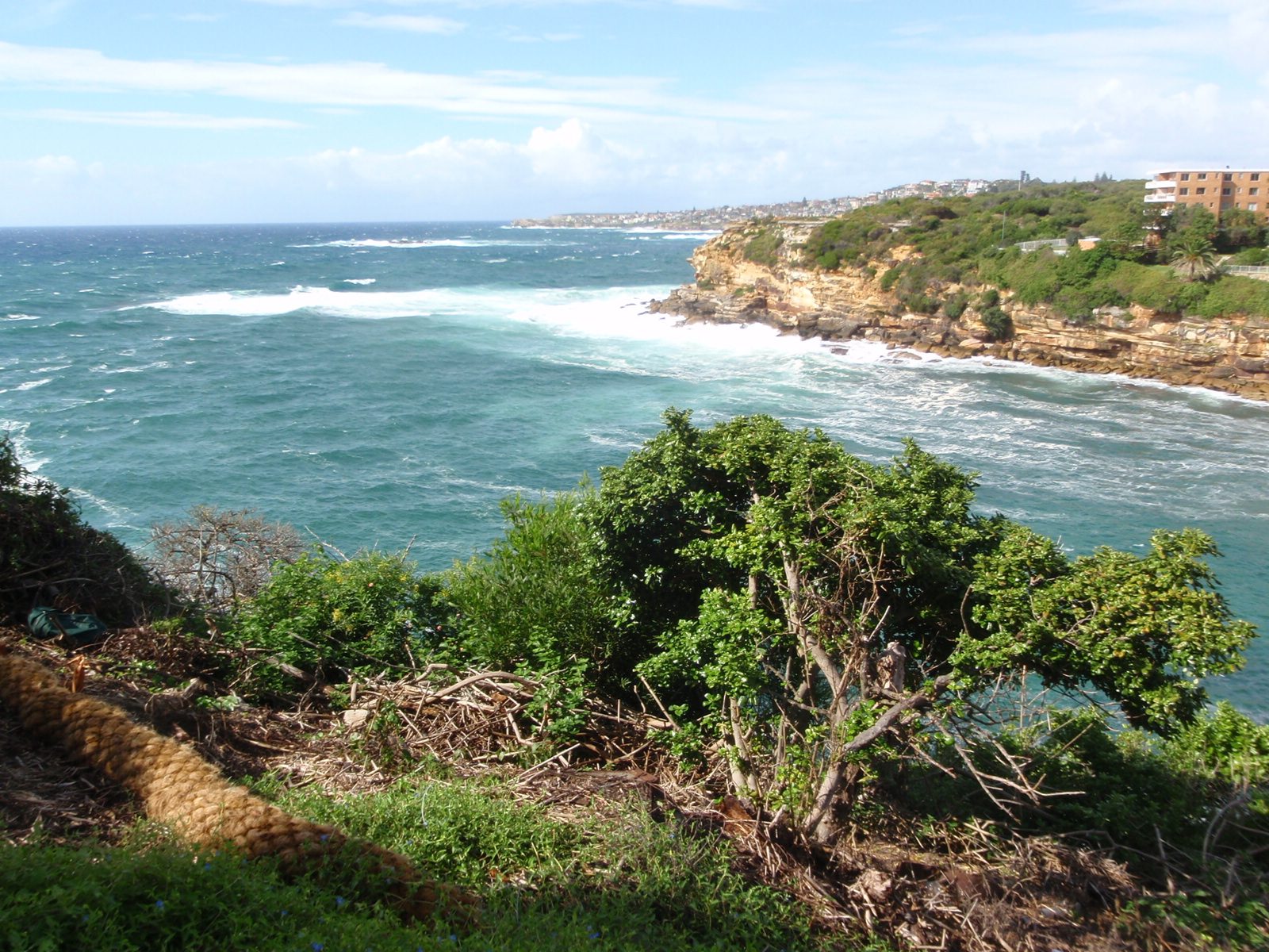 Looking back across Gordon's Bay to Coogee Bay (in the distance).