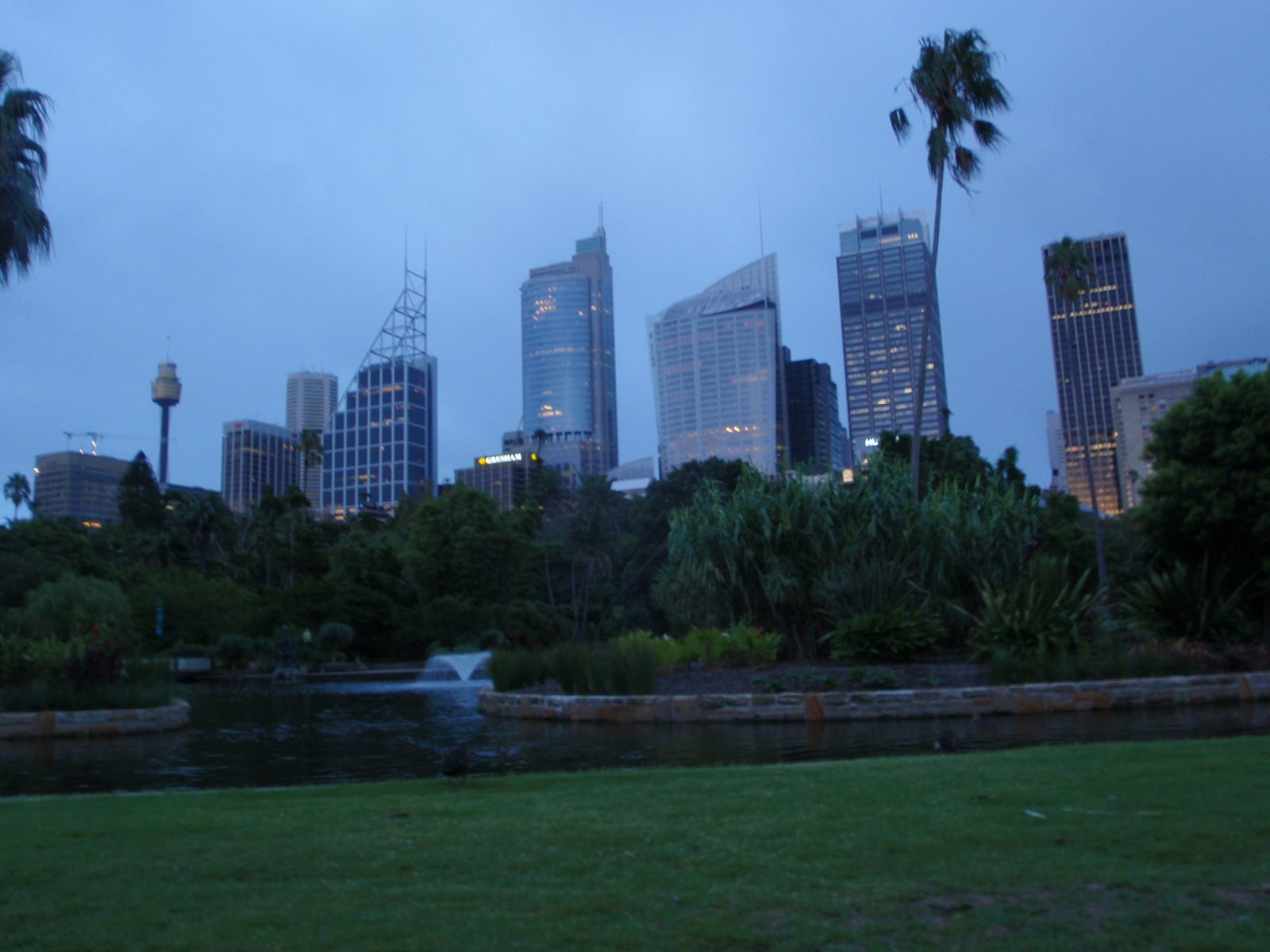 I woke up at 6am on Tuesday to go running in the Botantic Gardens, which Sydney residents call...