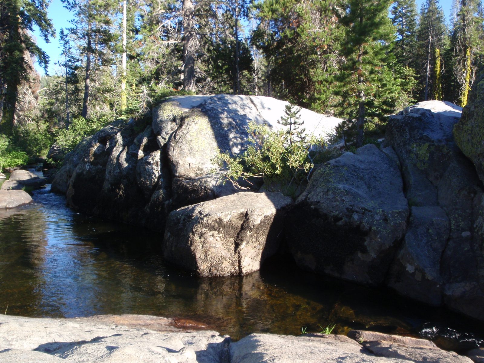 Our little swimming hole.
