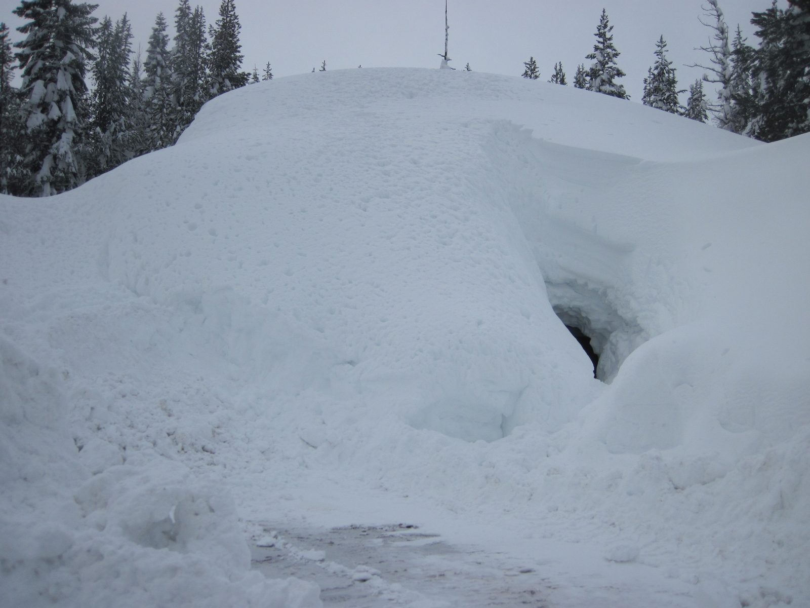 Here is a house that was slightly more buried by the snow. That rabbit hole at the right is a...