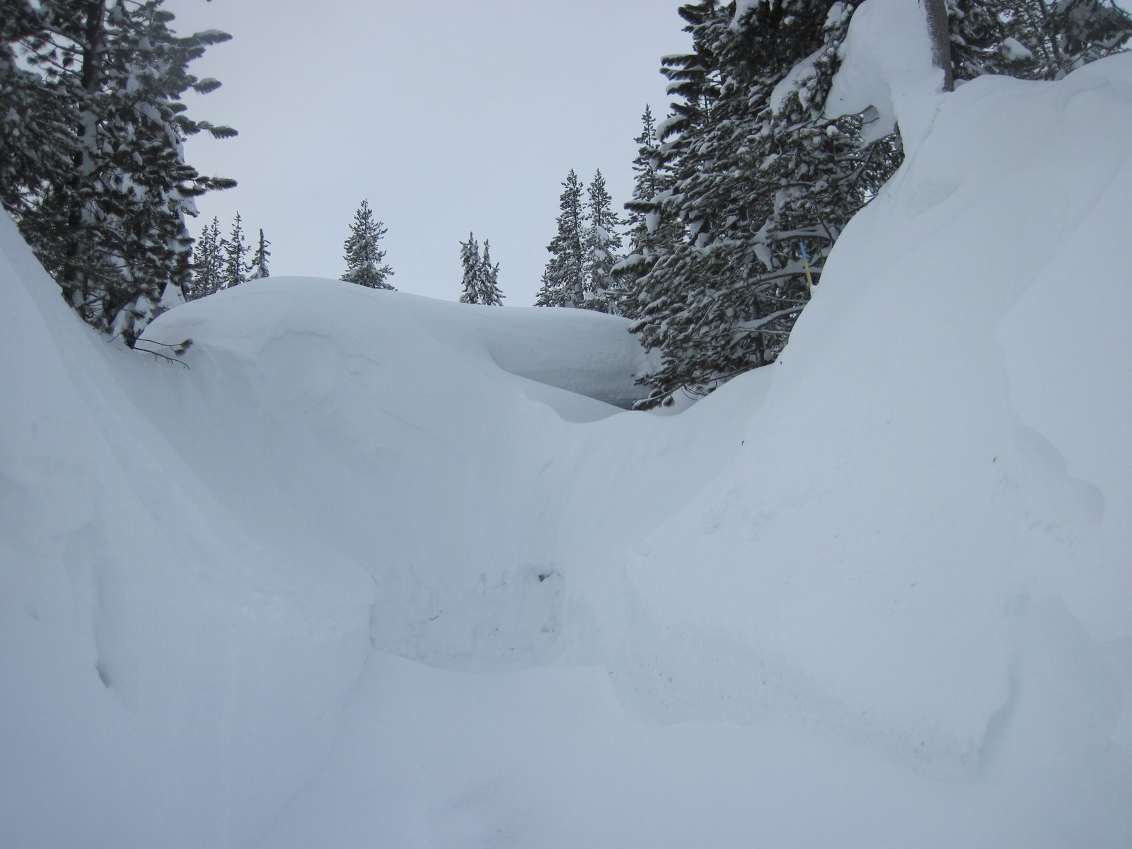 Another house that got a little snowed in. Note the eave of a roof at the right.