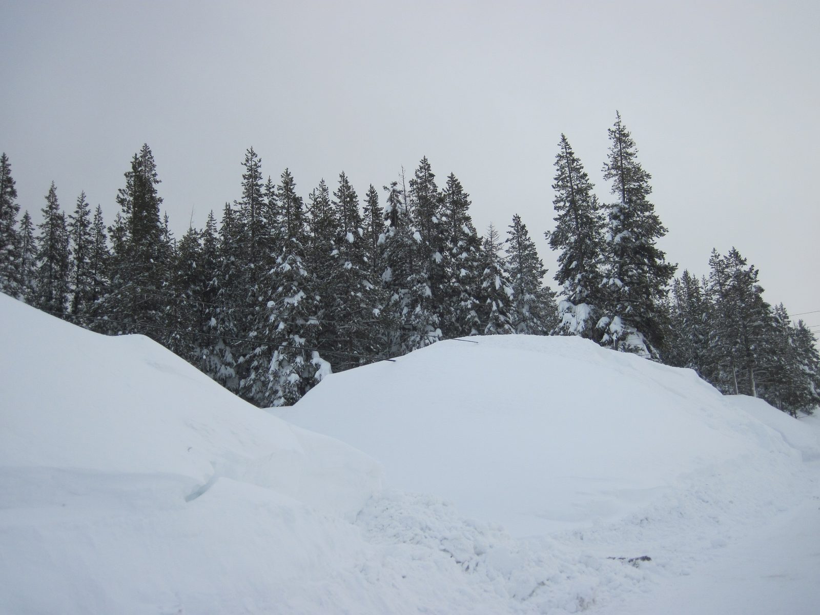 And then in some places the snow drifts have started covering entire telephone poles and their...