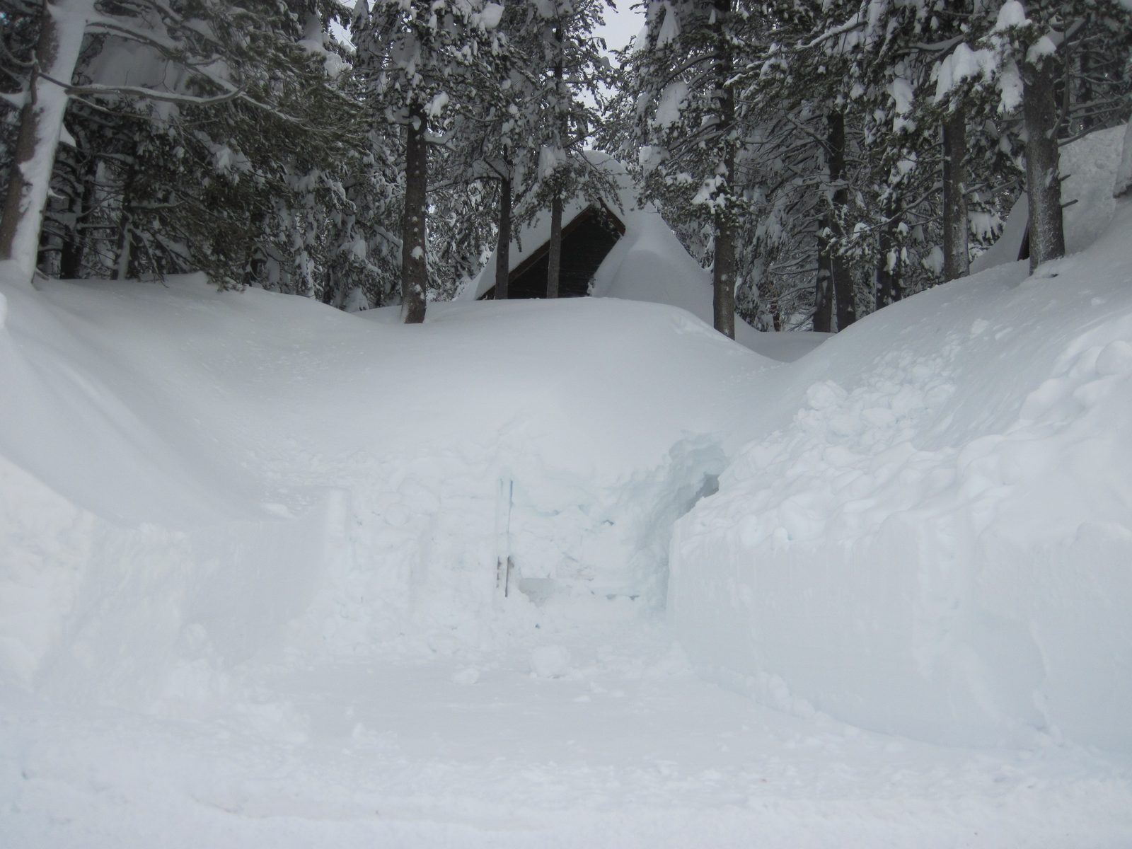 Guess they gave up plowing a road to the house and went with the human-sized tunnel approach instead.