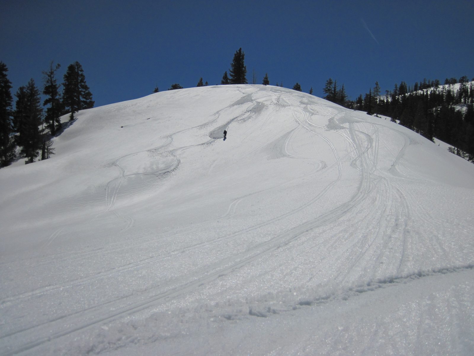 Pete skiing down a gentle pitch on the eastern side of Donner Peak.