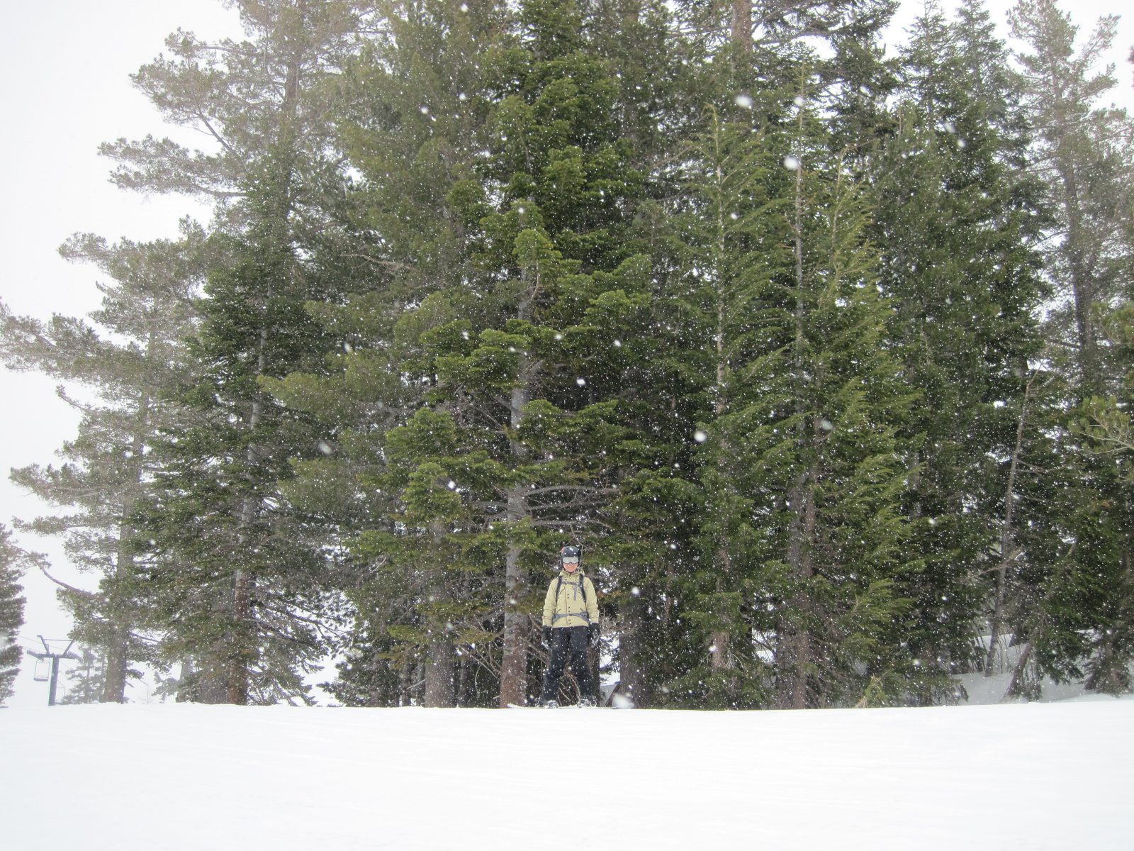 Monica snowboarding on May 28th.