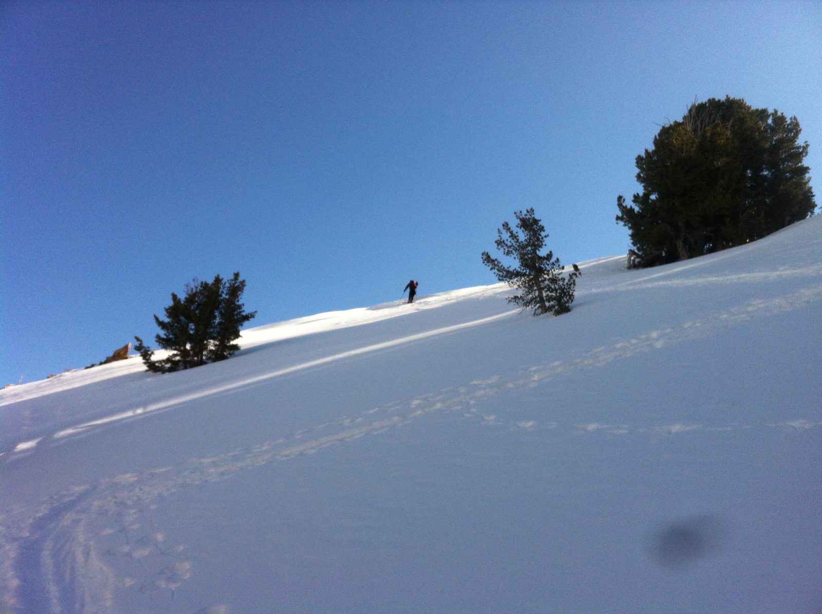 Marlin hiking up Red Lake Peak on Sunday morning.