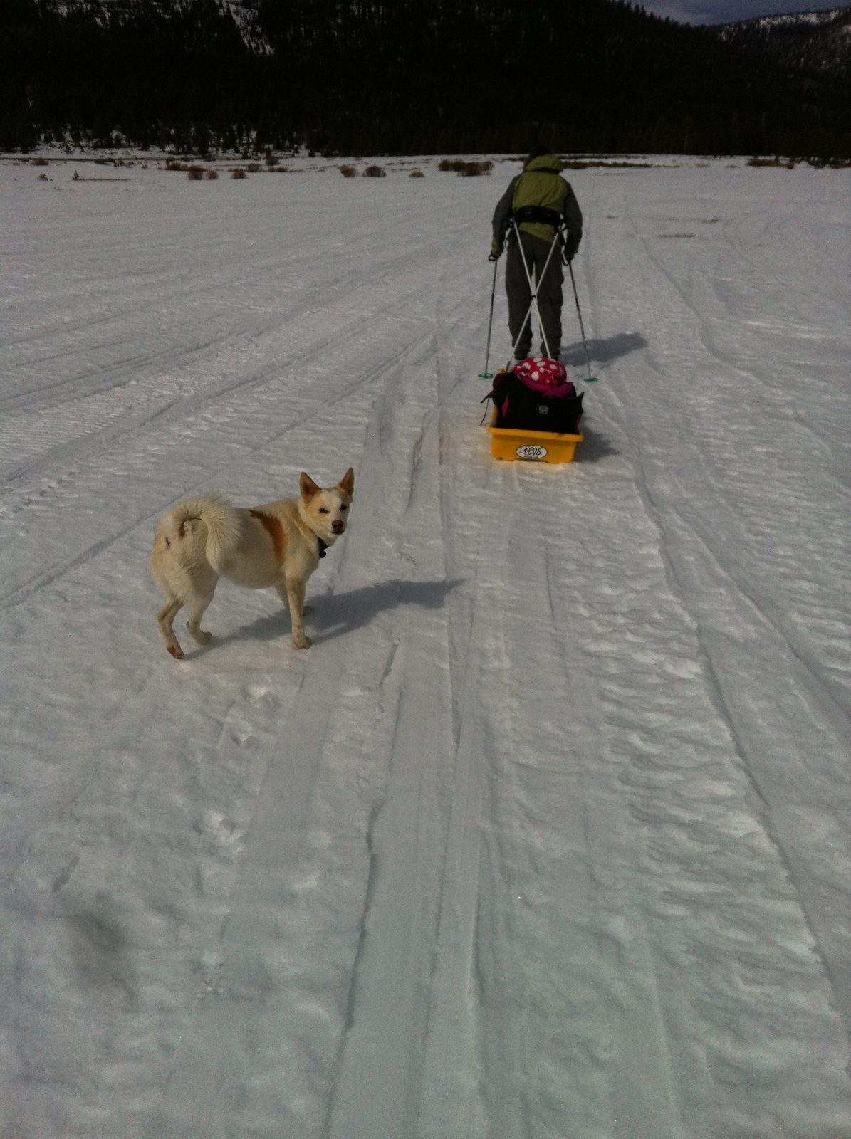 Forgot to mention Lumi came along too.