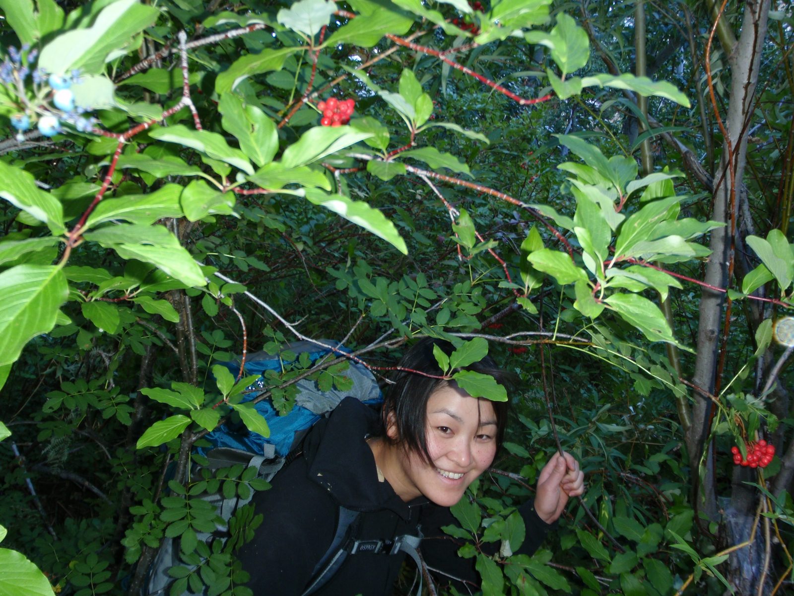 This photo looks like could have been taken deep in the Amazon jungle.  Bushwhacking in Lost...
