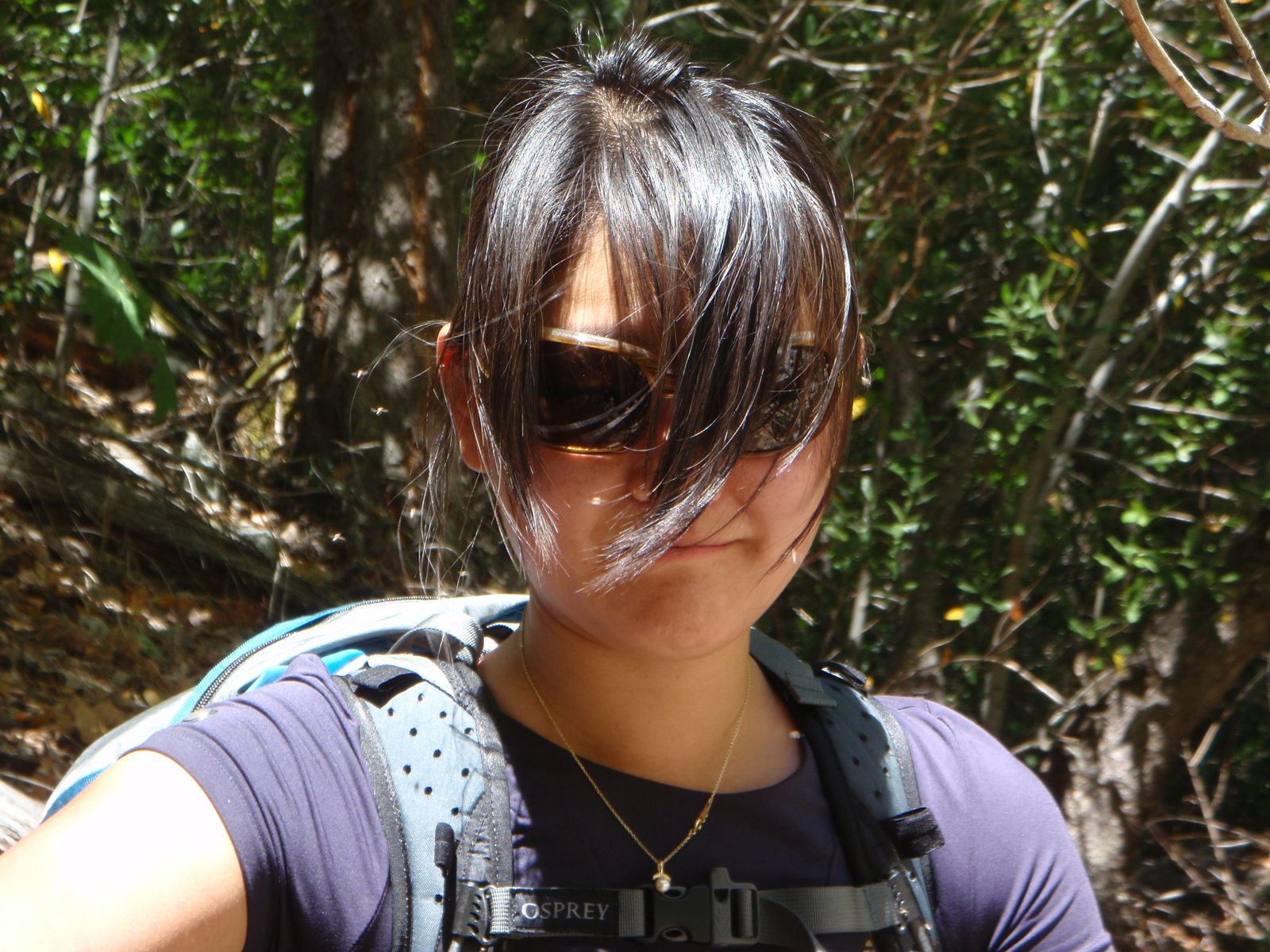 A sad, however necessary shot to tell the whole story of our sojourn.  The bugs in Yosemite...