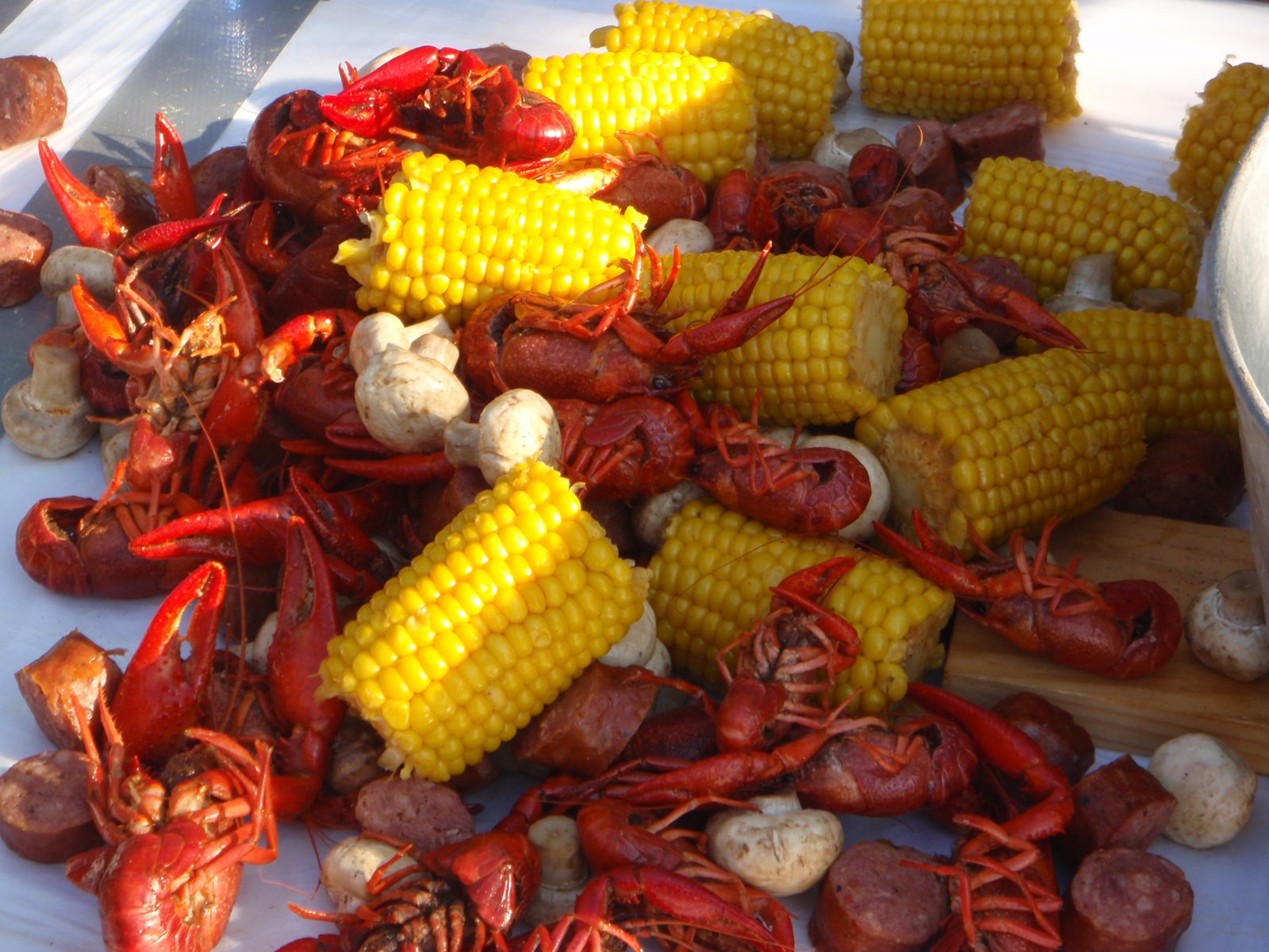 The first of about a dozen or so batches of crayfish to come out.   The critters are boiled up...