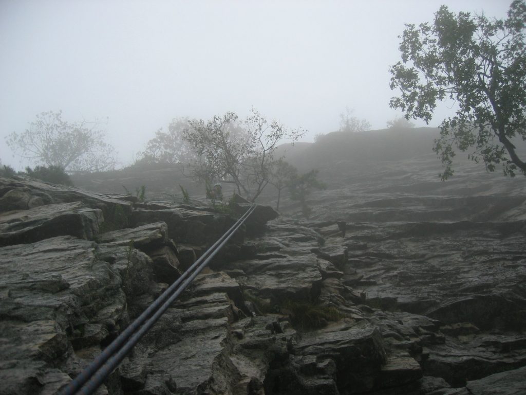 On the second rappel down from Minty.  Looking up at the rappel anchor (tree).  Poor, poor wet...