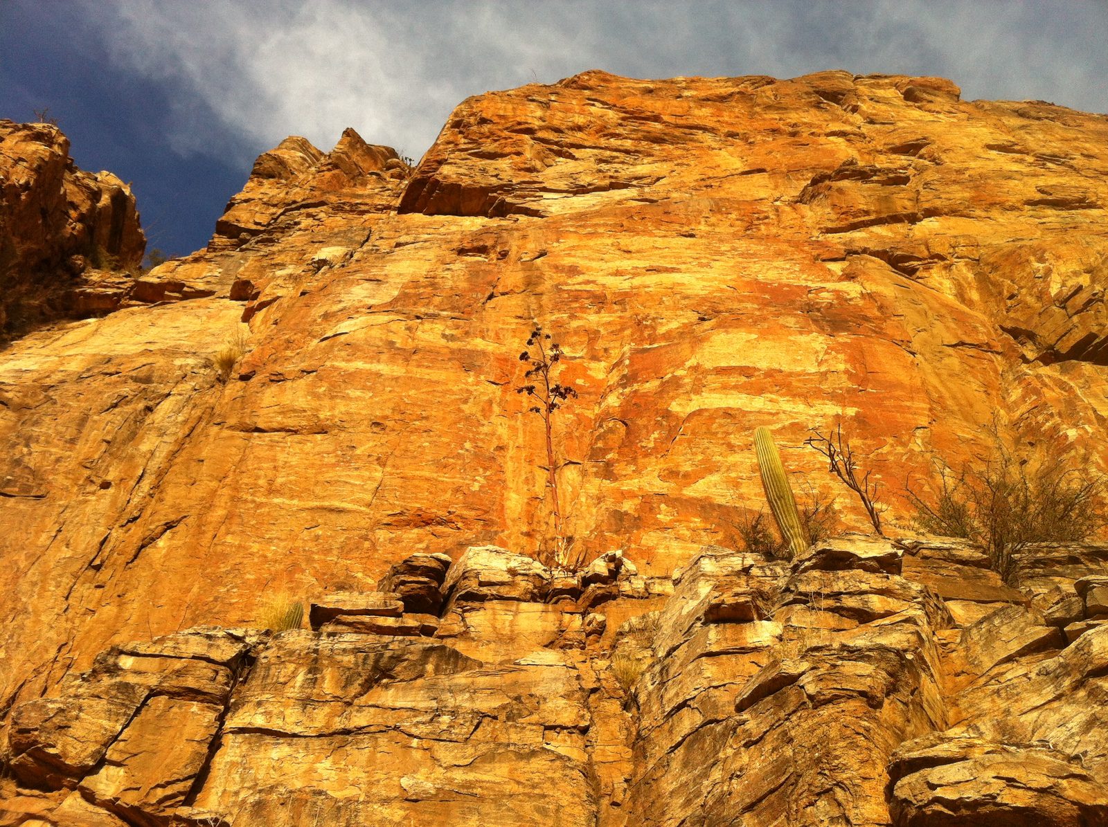 It's easy to climb up to this ledge and then there are at least 2 routes that look like they...