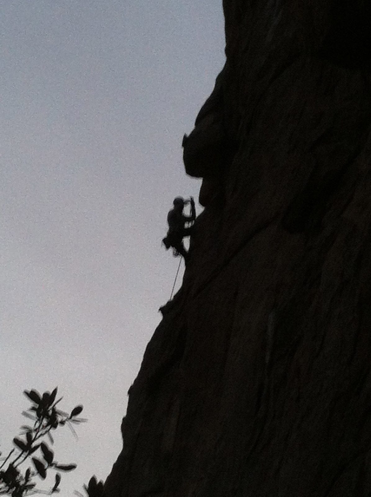 Jay cleaning Mistaken Identity (5.9).