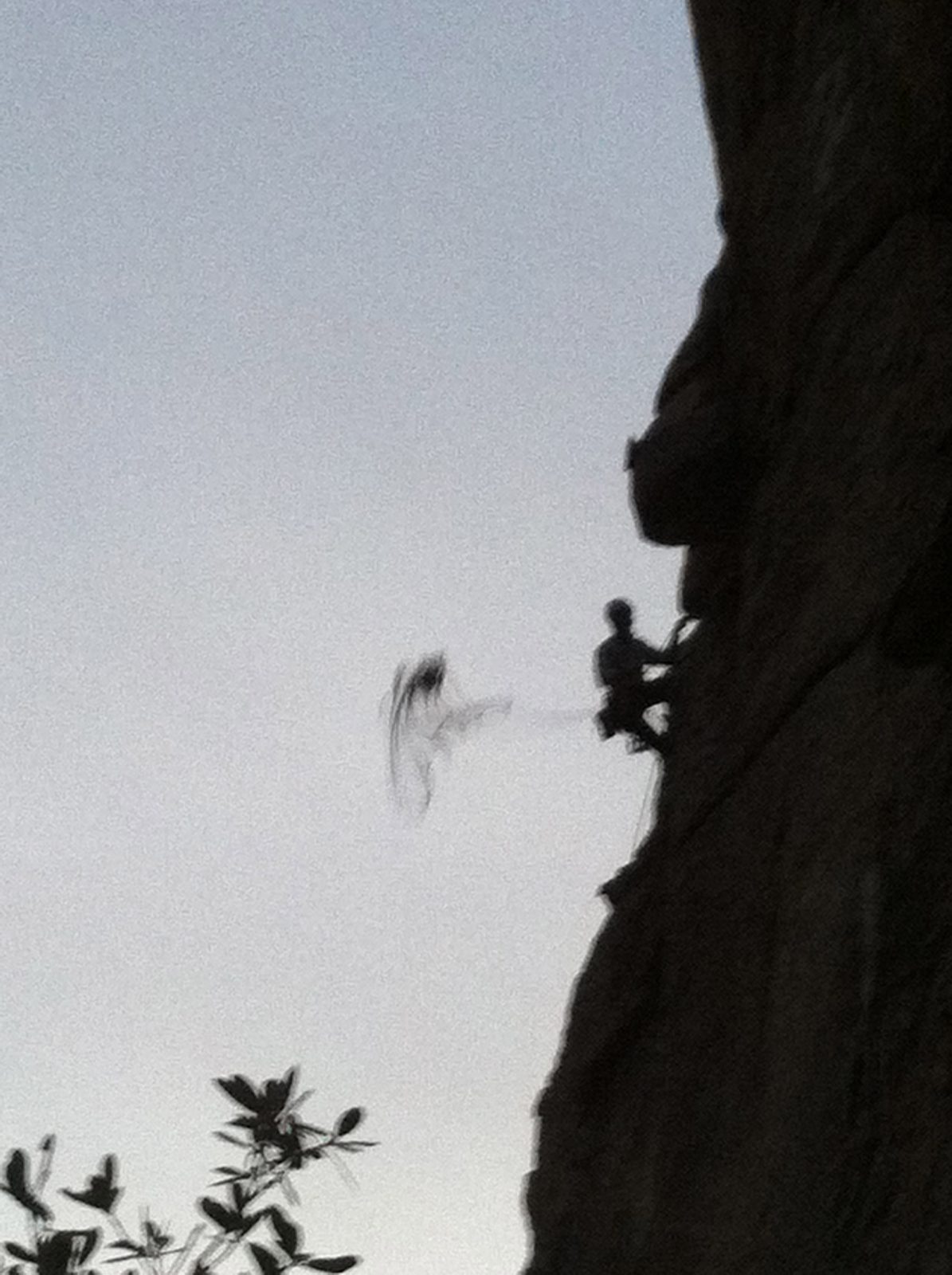 Tossing the rope.