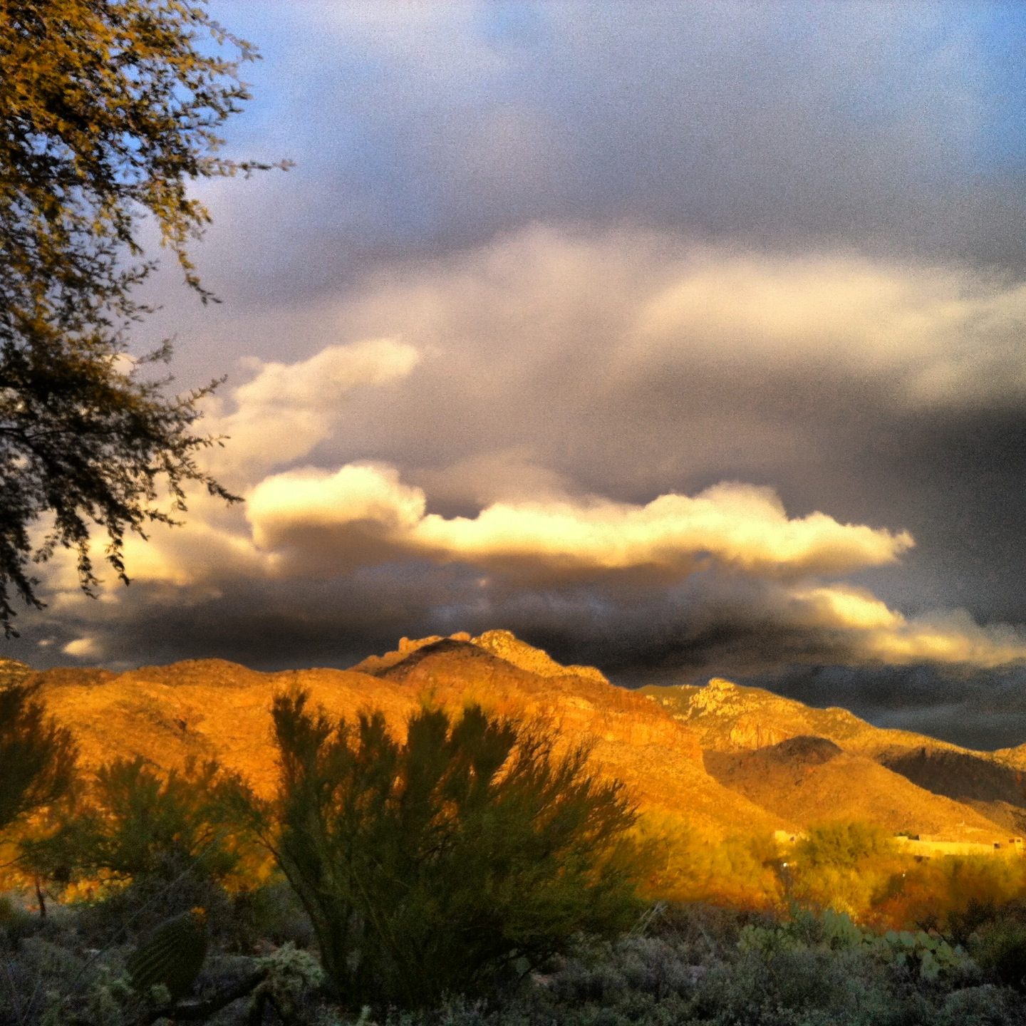 Storm clouds moving in on Christmas Eve.