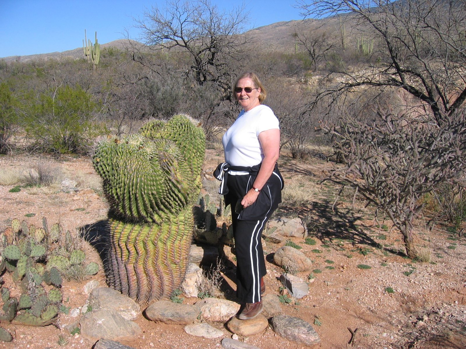 Mom next to a weird type of saguaro that occurs in roughly one out of every 200,000 saguaros.