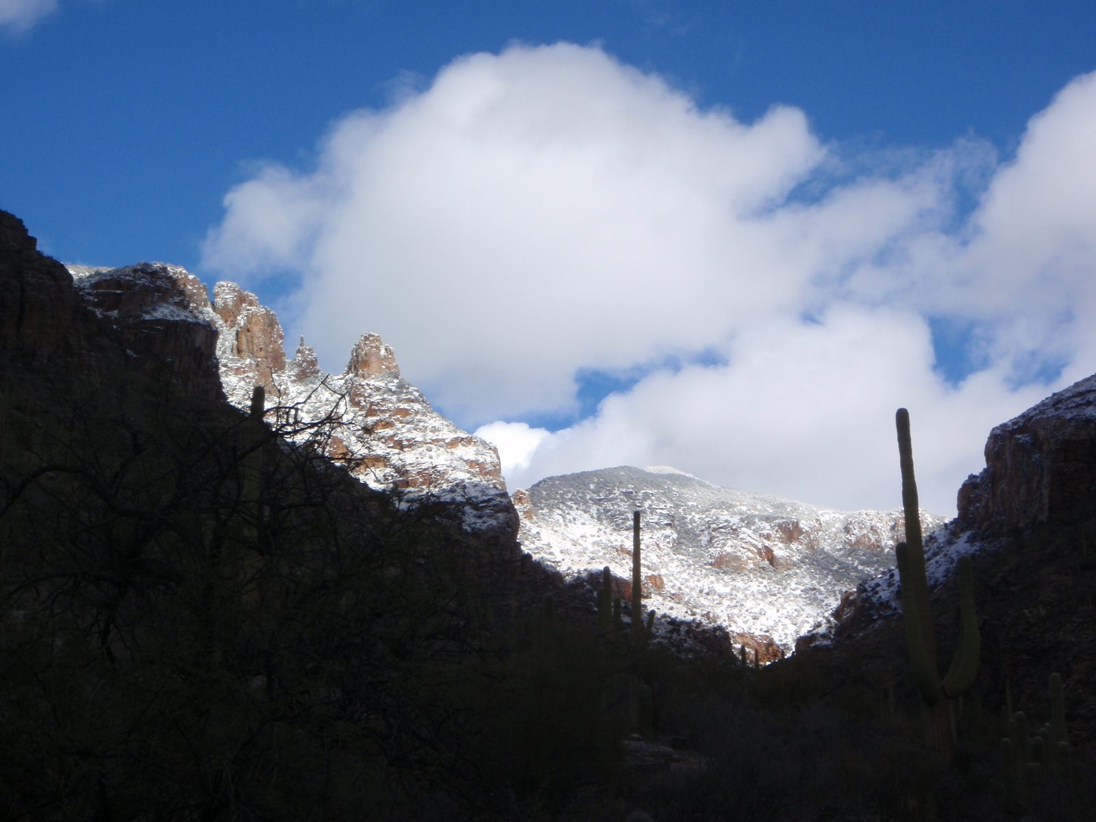 Snow on the Santa Catalina mountains.