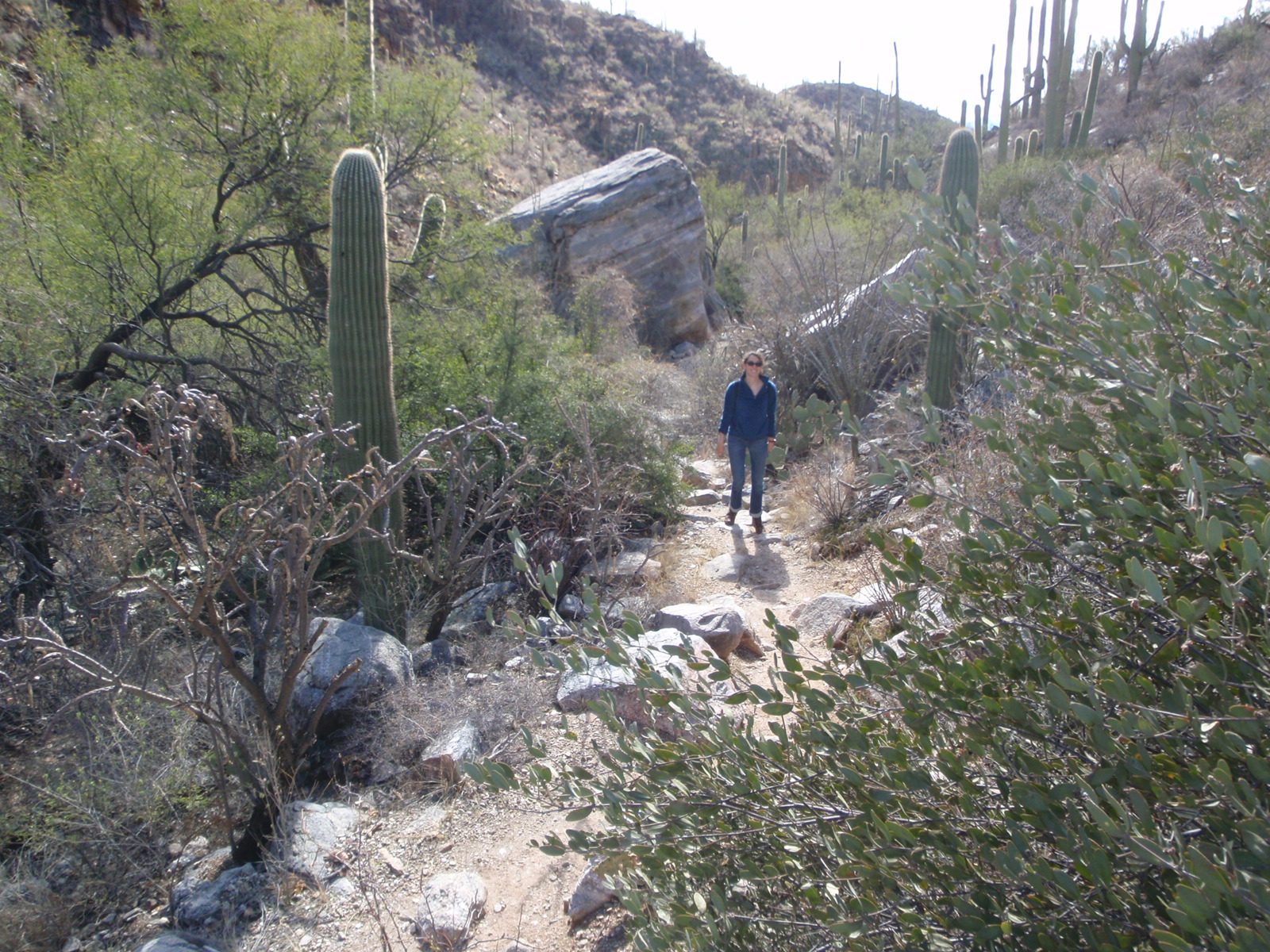 Mel coming up the trail.