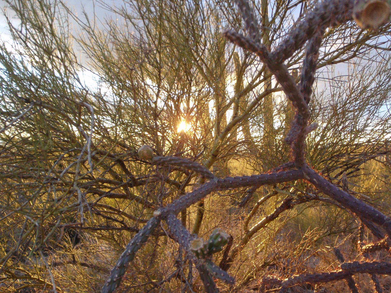 We started to realize that we were going to get treated to a very dramatic sunset. So I called...
