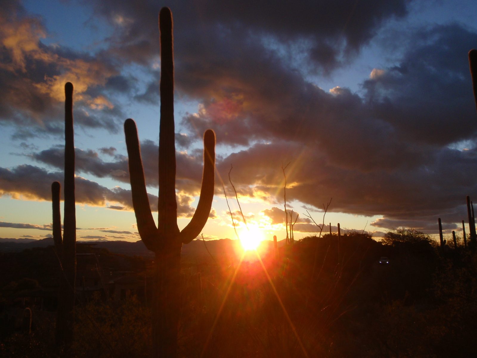 We are treated to a spectacular sunset. My parents were hoping that their anniversary dinner the...