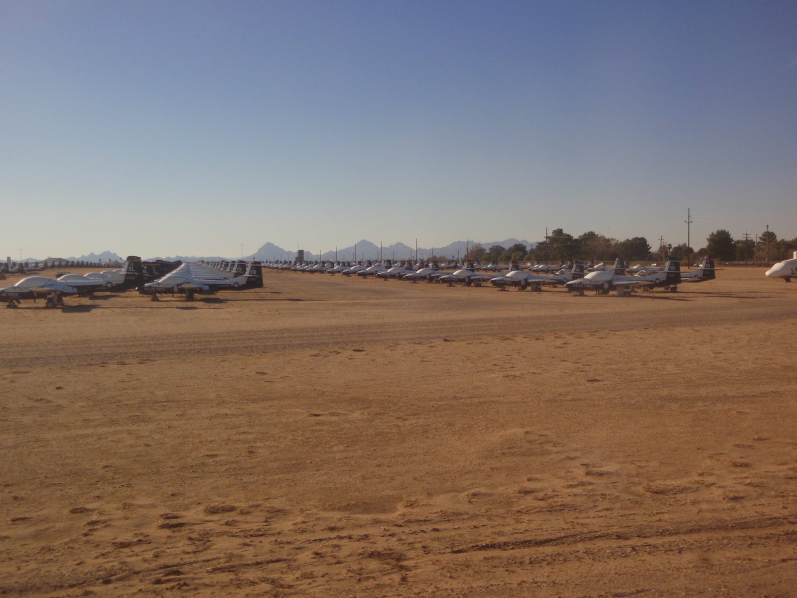 Lots and lots of little planes in storage.