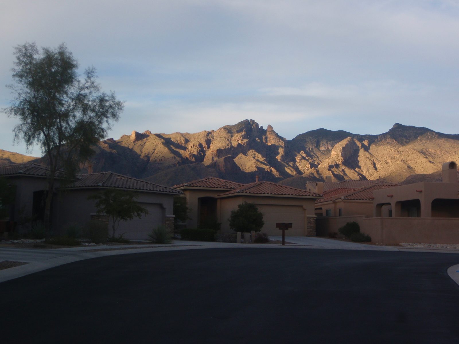 View of the Santa Catalina Mountains from the subdivision.