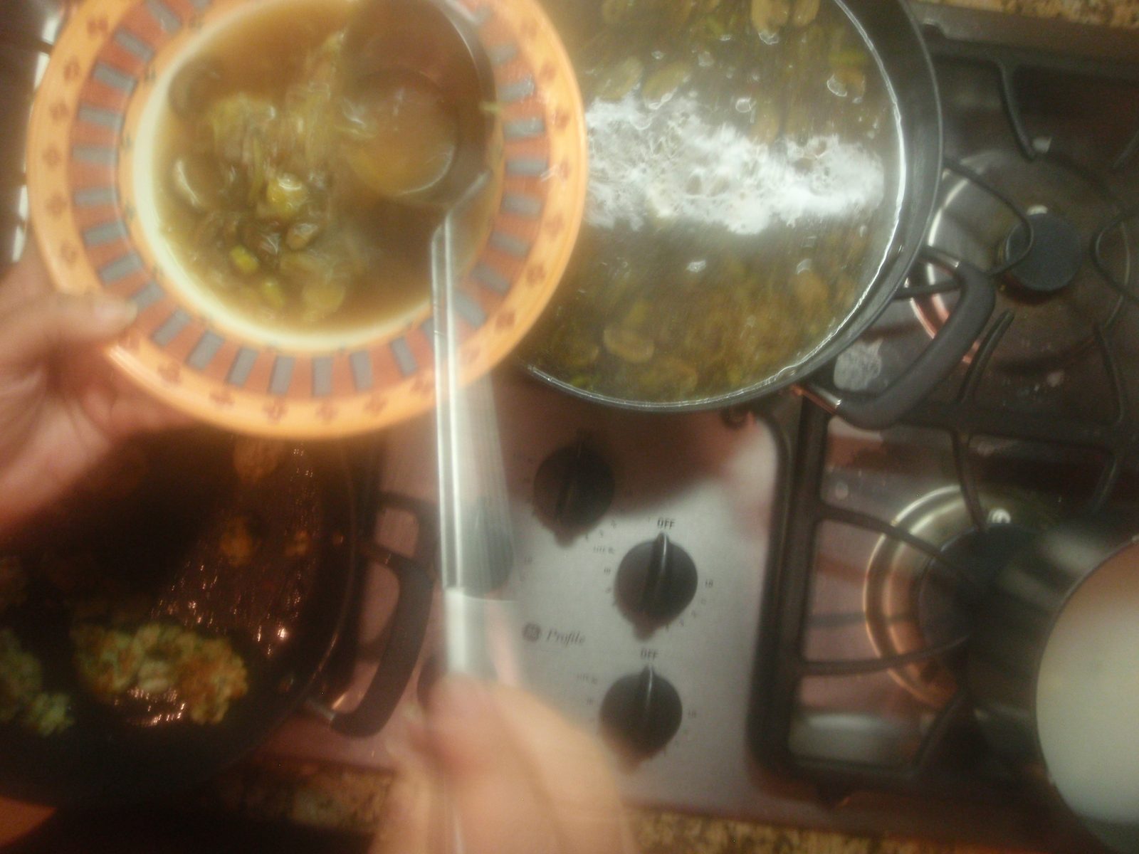 Yum! Veggie dumpling soup. I think the dumplings were made with cottage cheese.