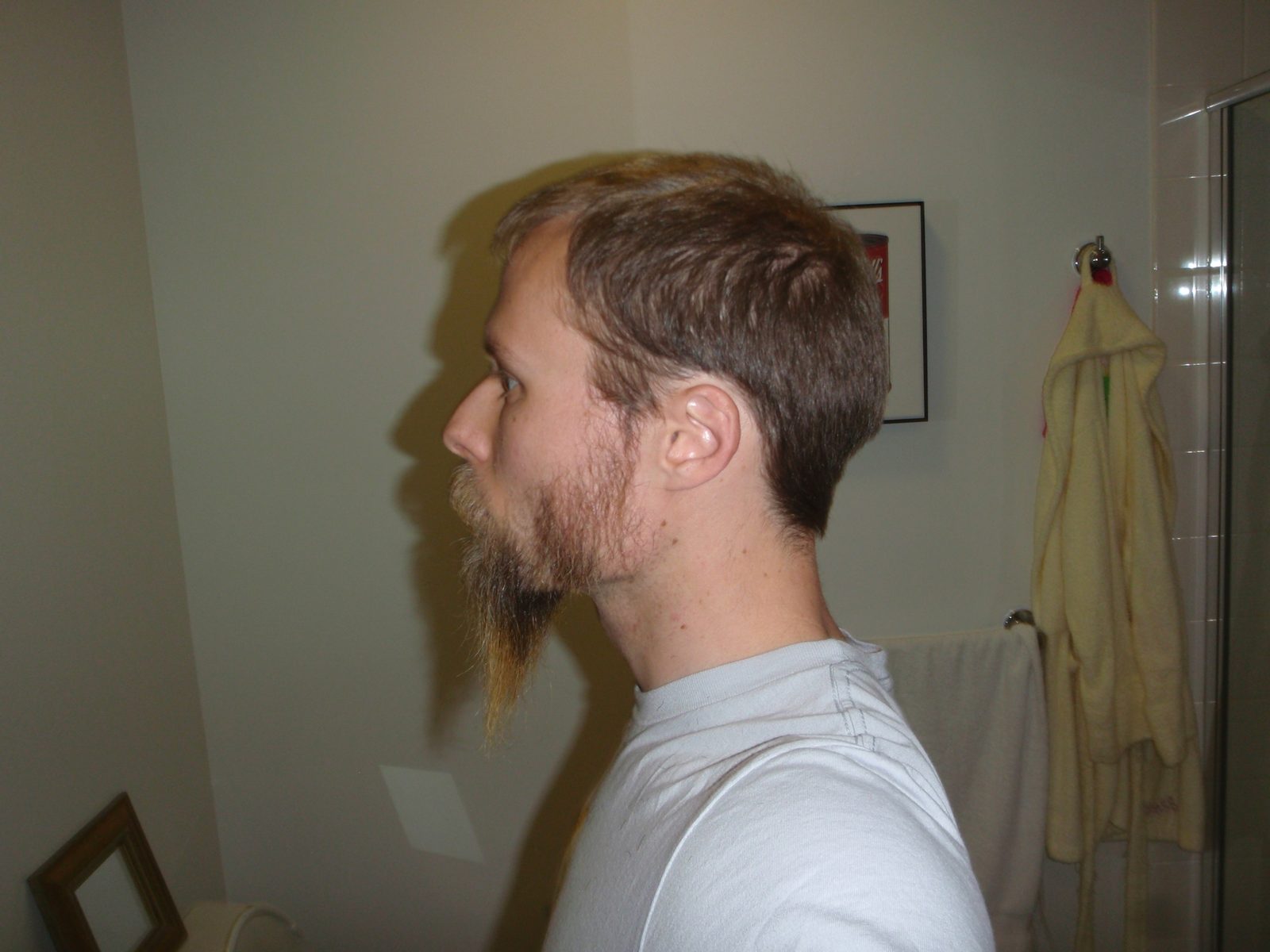 Beard Deconstruction Project: Phase 1.
