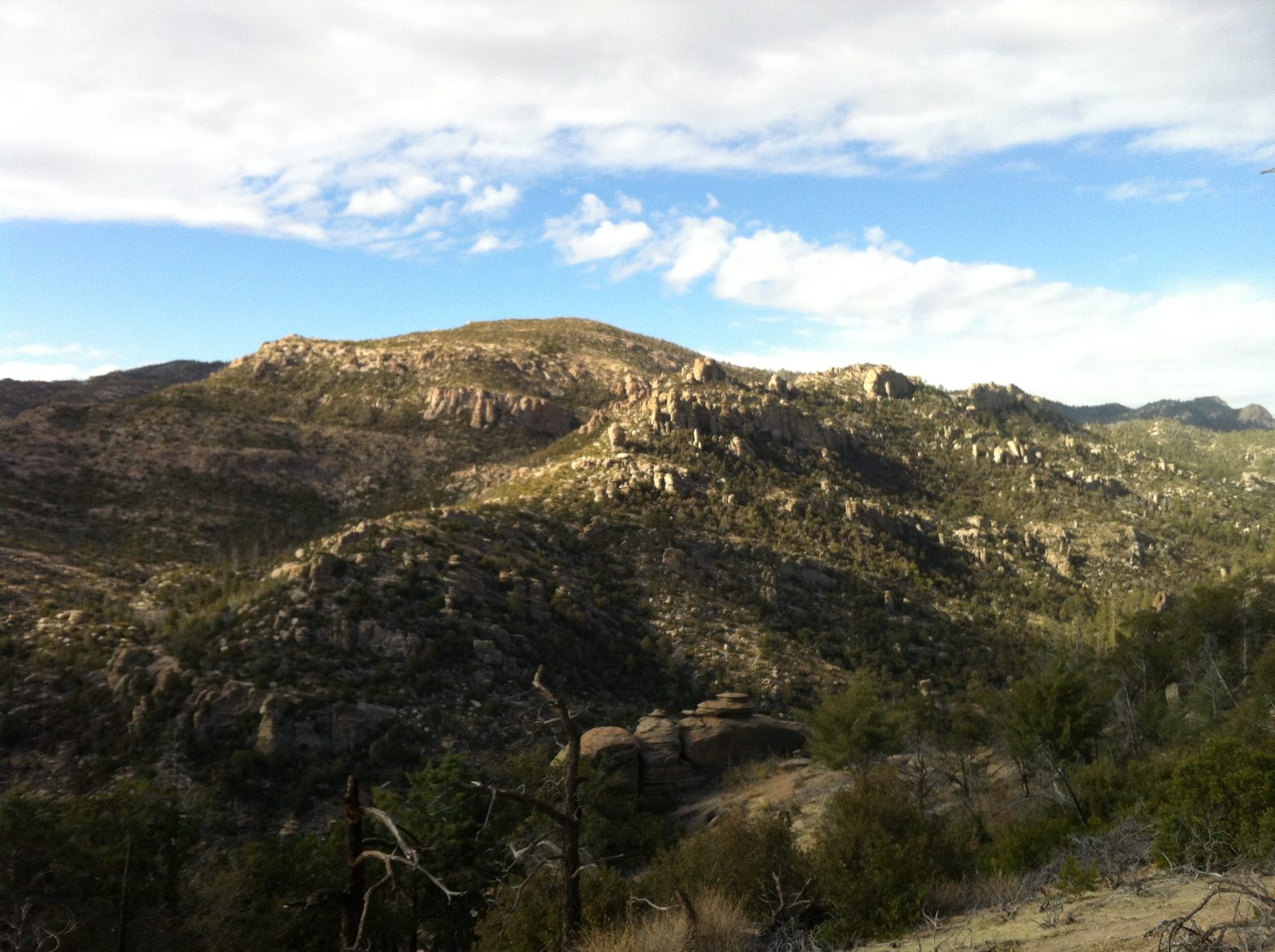 Mt. Lemmon from the walk back to the car. Looks like a lot of stuff to climb.