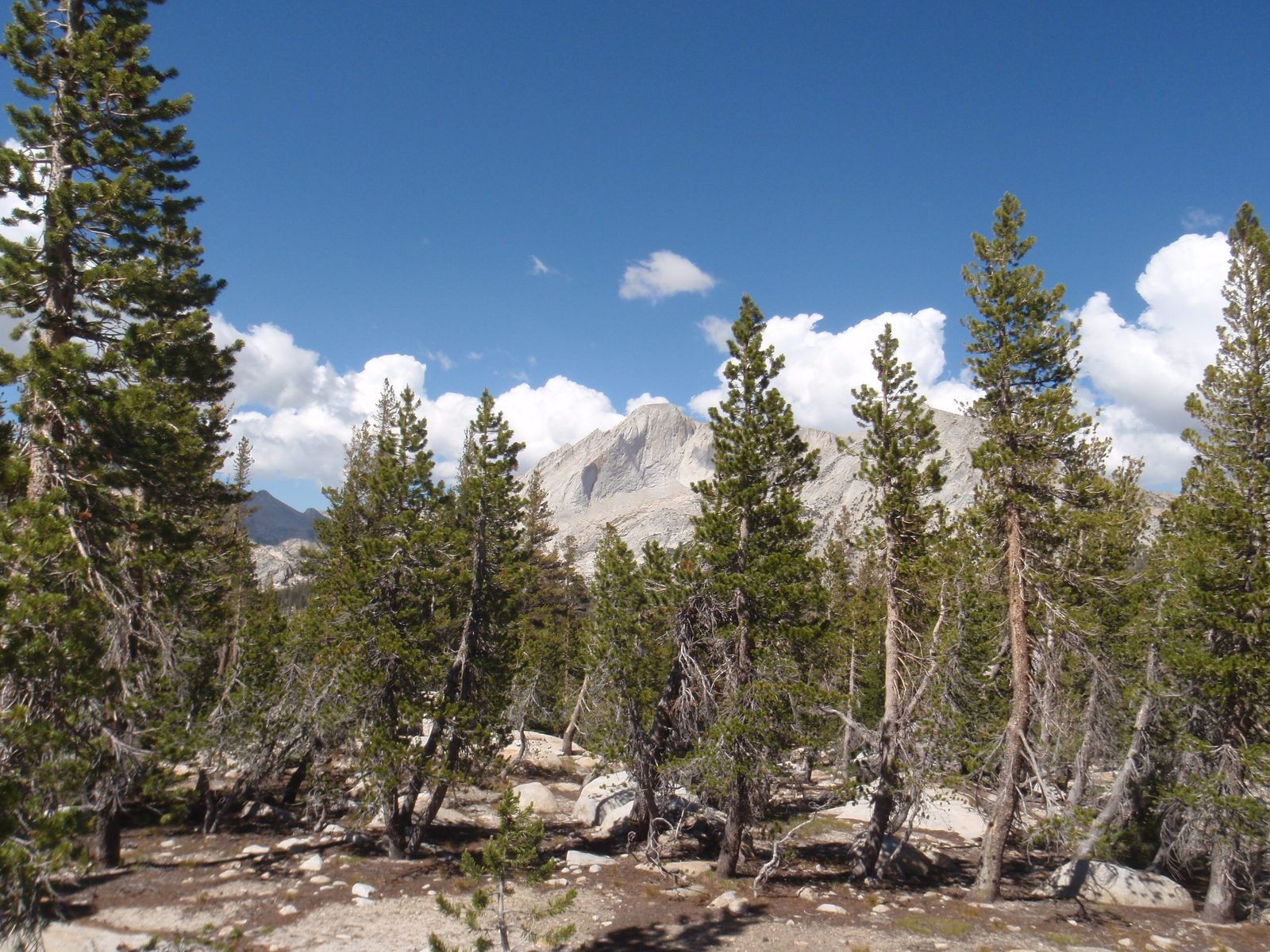 Looming in the distance is Mt. Conness. We really didn't get a good view until we were past Young Lakes.