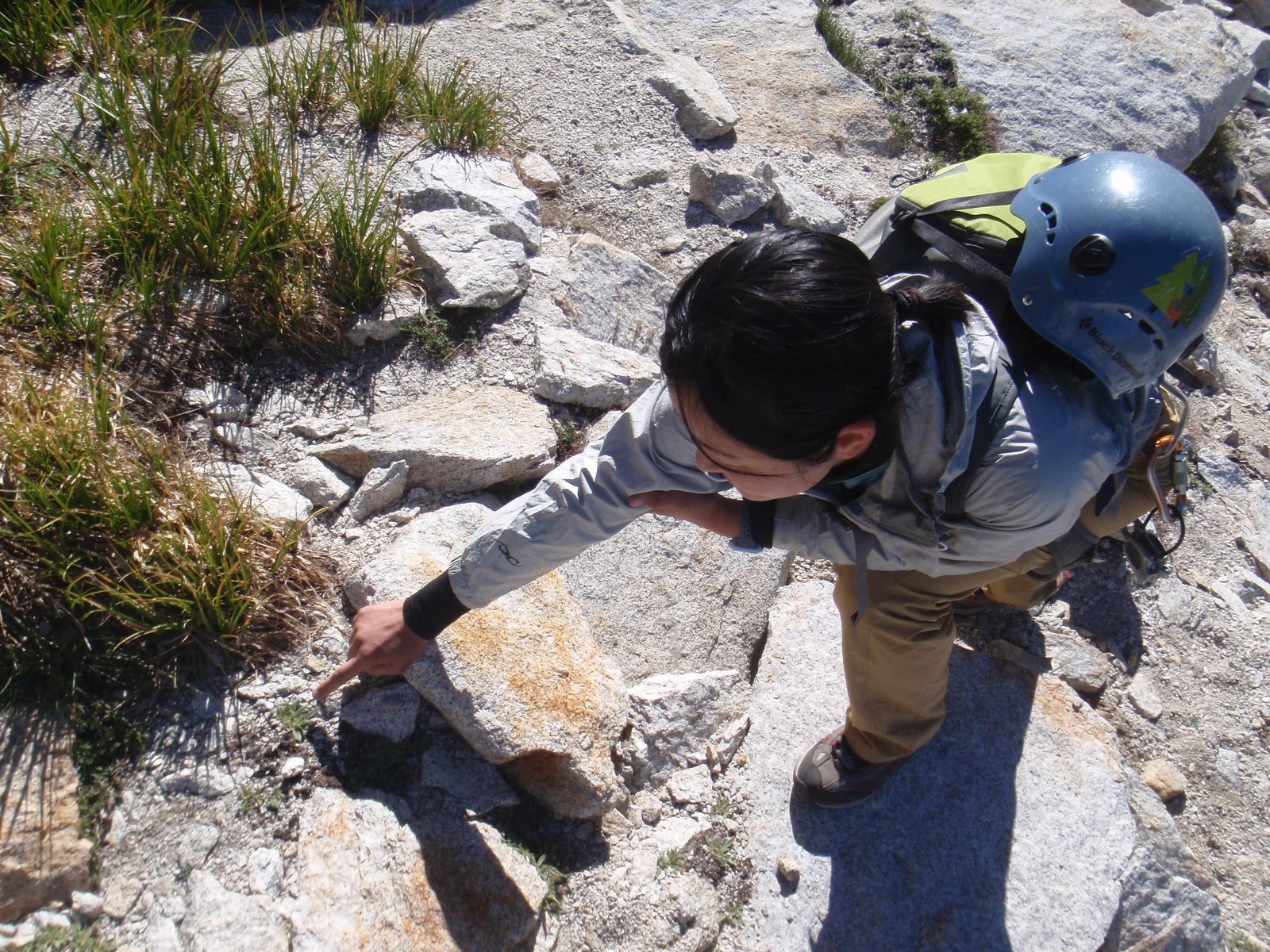 Pointing out a plant that smelled very strongly of mint.