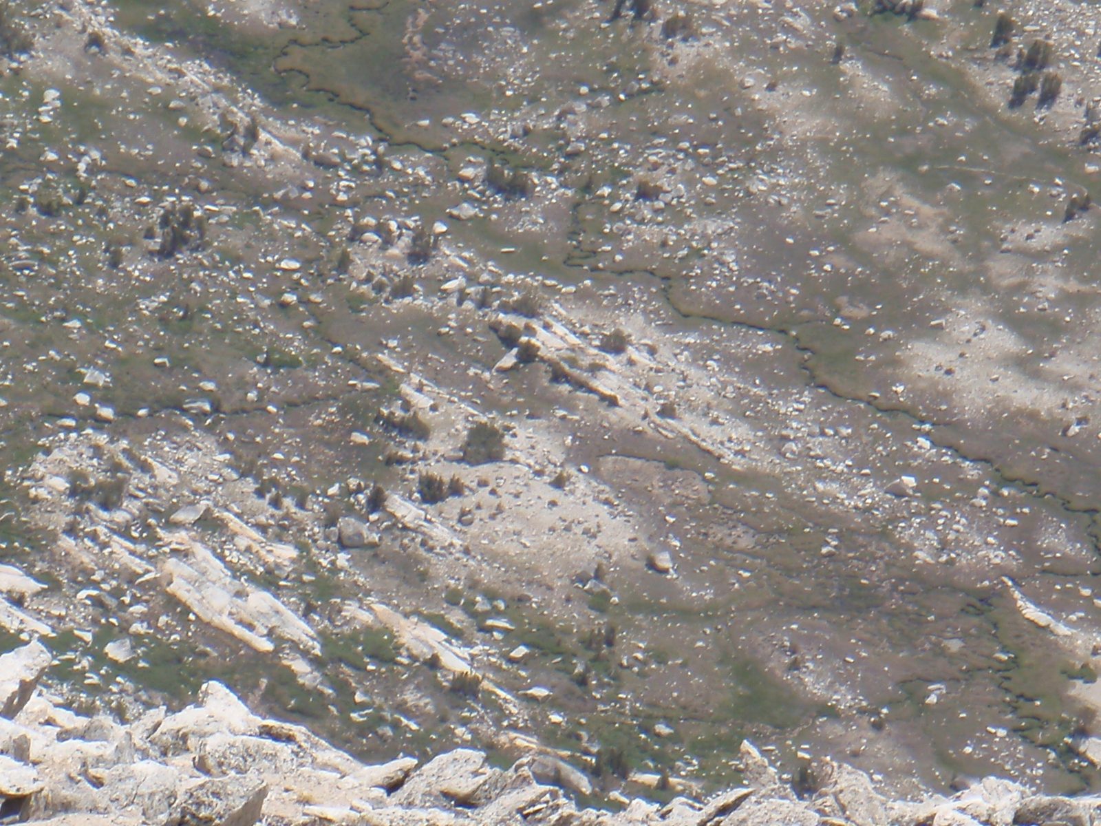 ... and zoomed in.