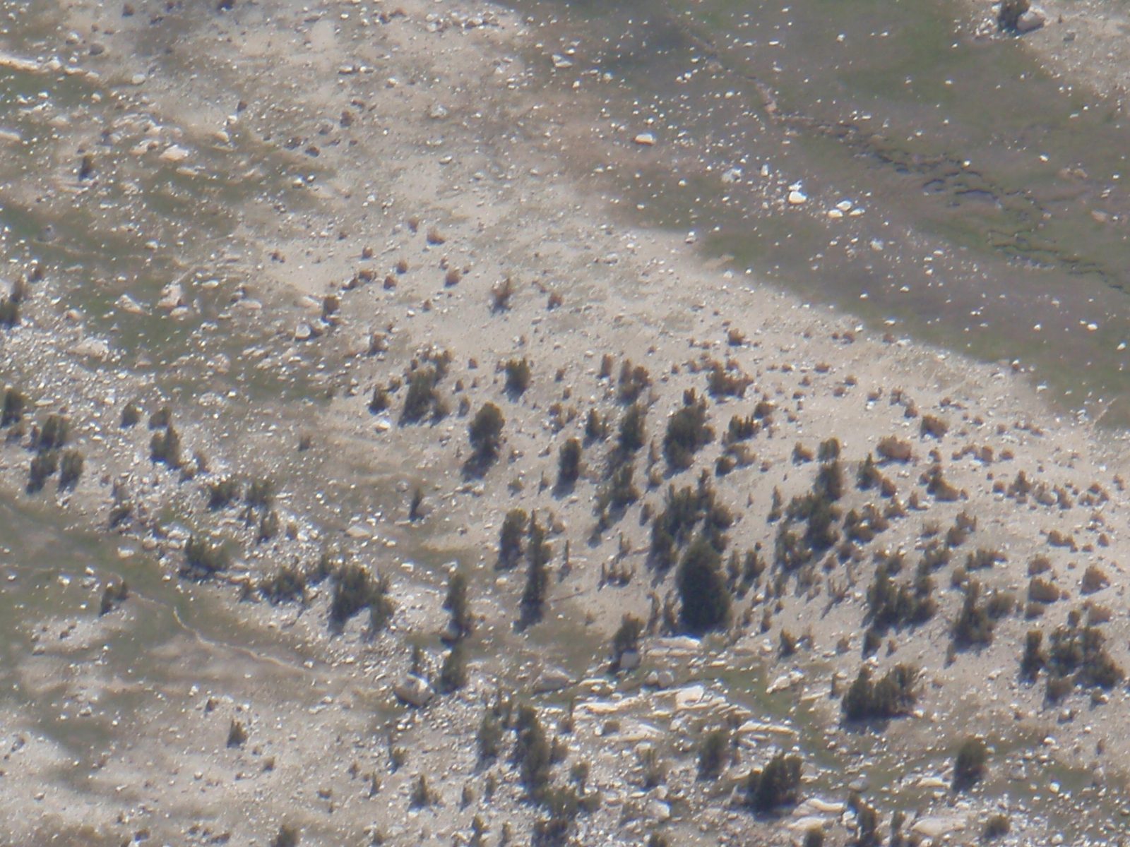 ... and zoomed in even more. I swear our camp is just to the right of the middle of this...