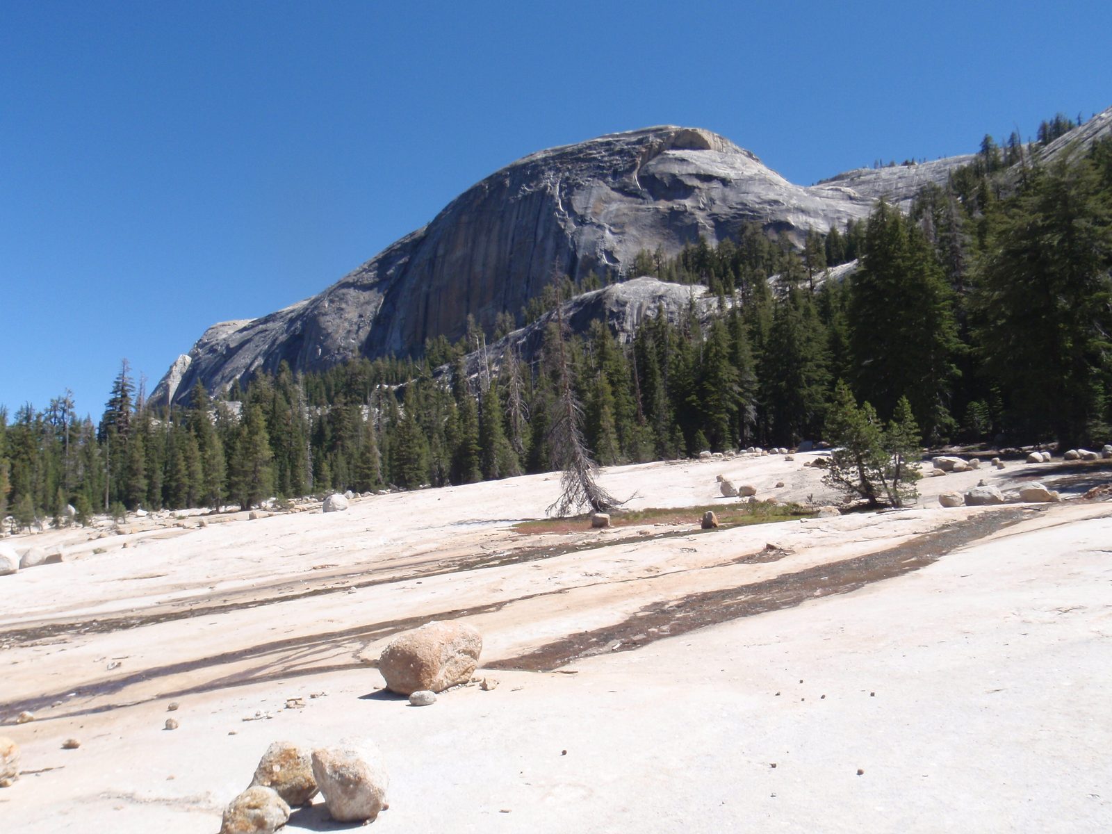 Beautiful view of Medlicott Dome from the hiking trail to Dozier Dome. Medlicott Dome is home to...