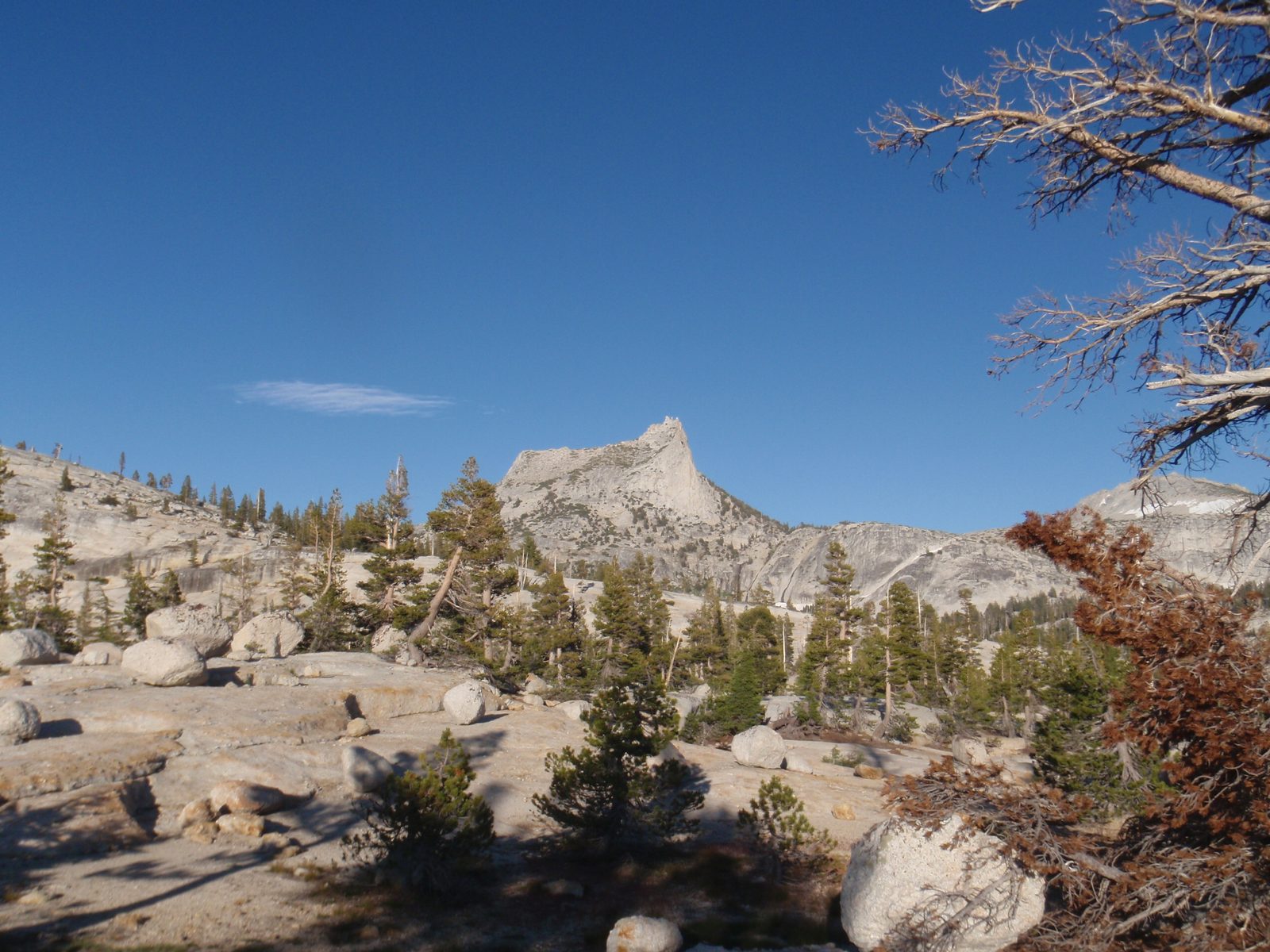 Cathedral Peak! John Muir claims that climbing this mountain was the first time he went to...