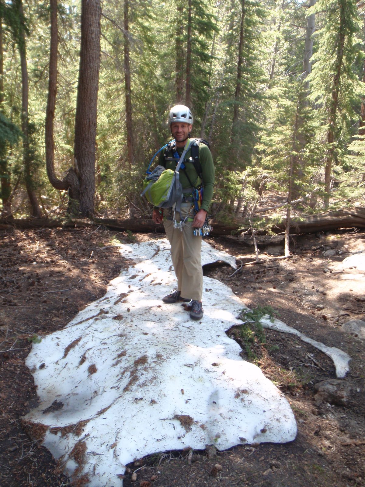 Still some snow in the woods in mid-August.