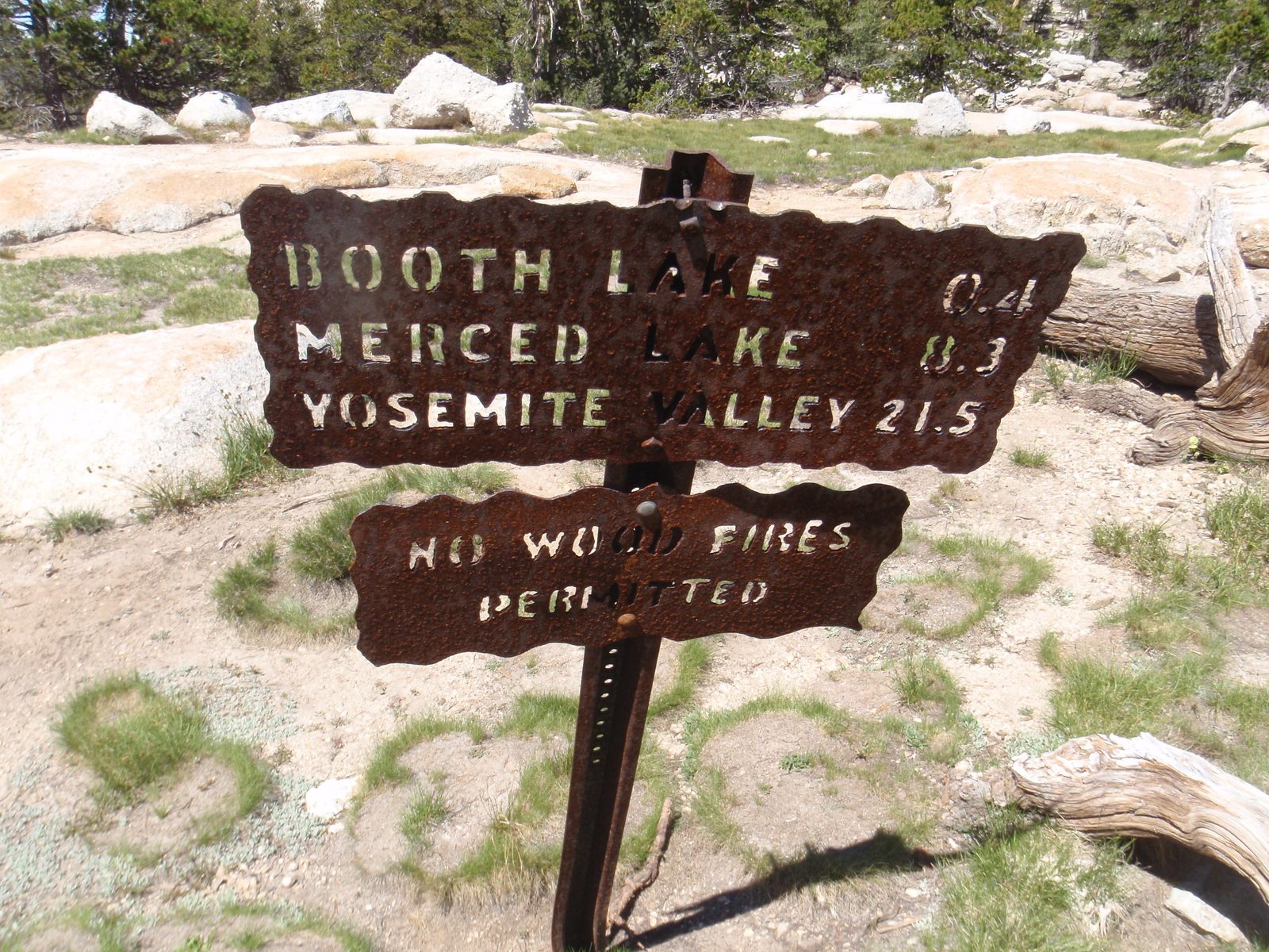 At Tuolumne Pass.