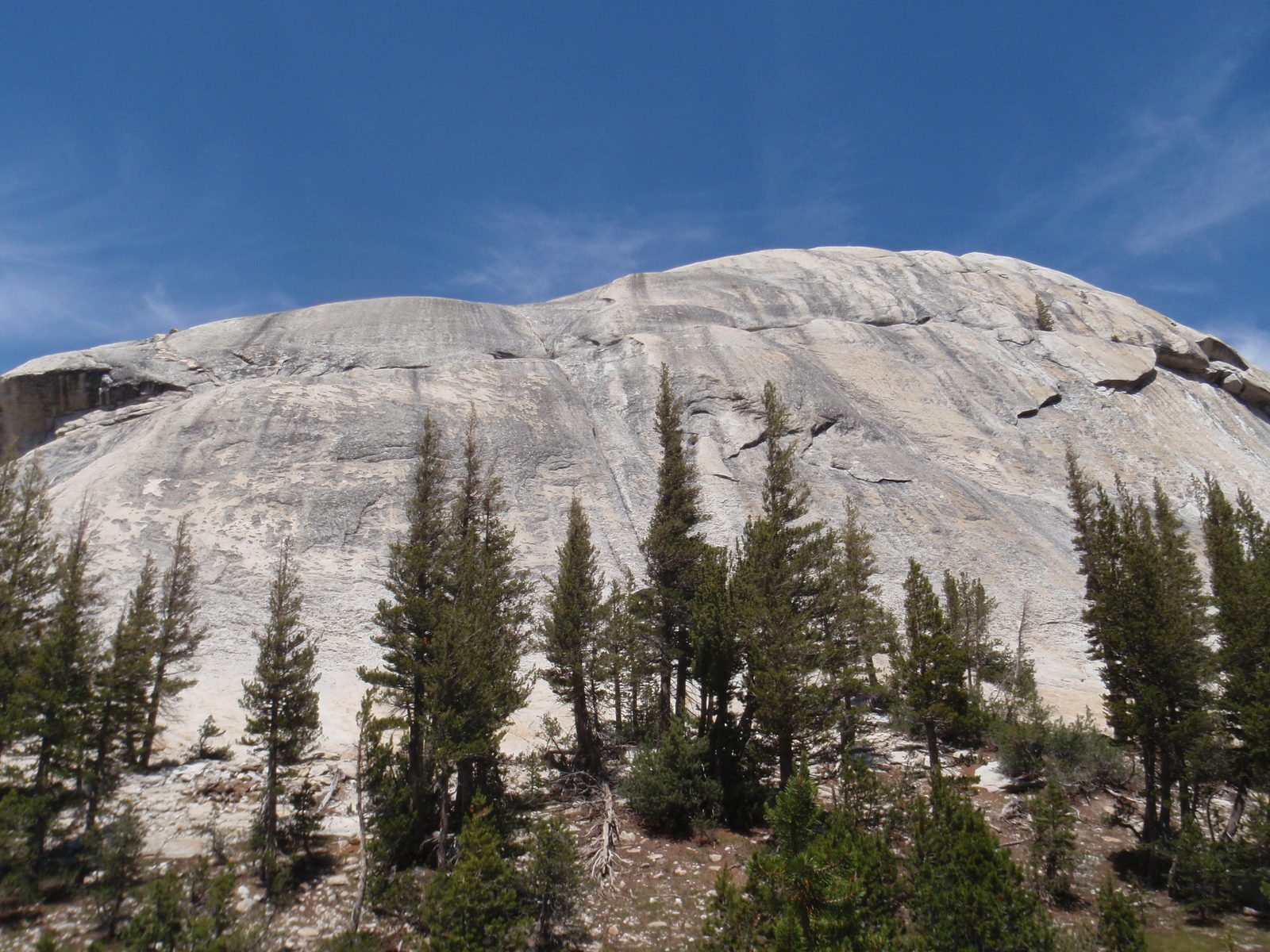 The southeast flank of Turtle Dome. Looks like a very moderate low-angle crack at the center.