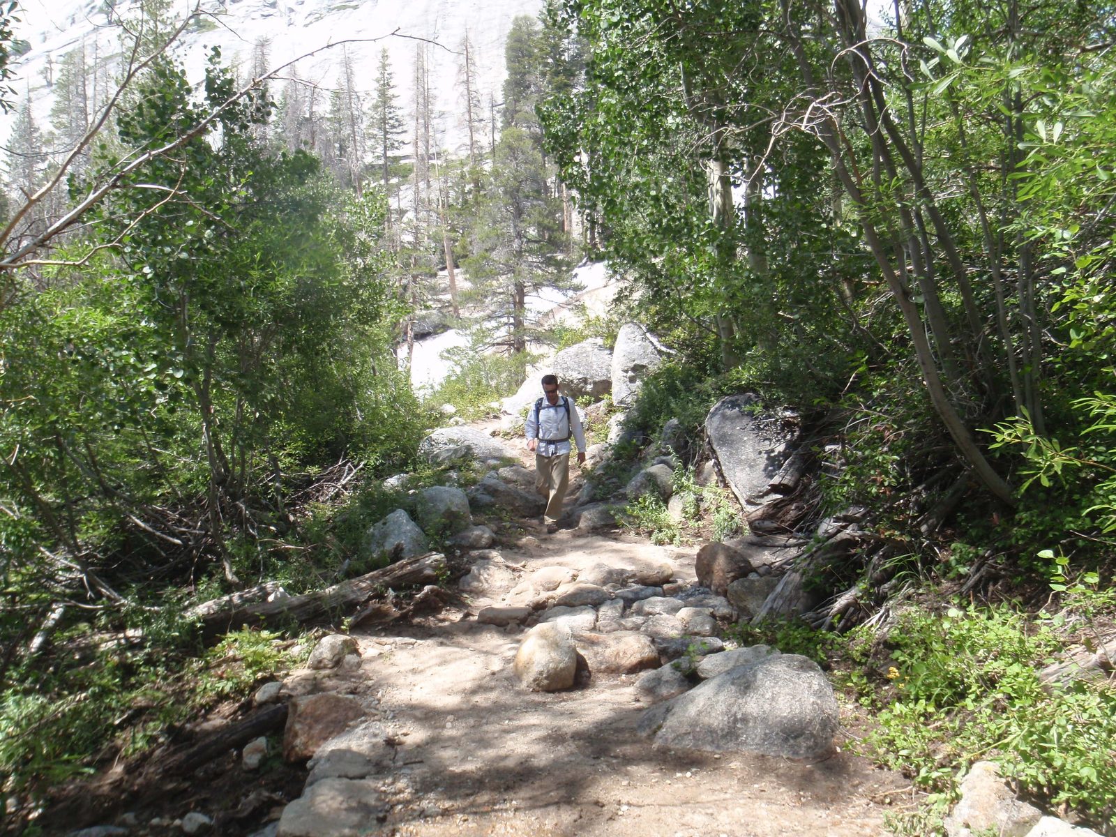 Hiking down along Fletcher Creek.