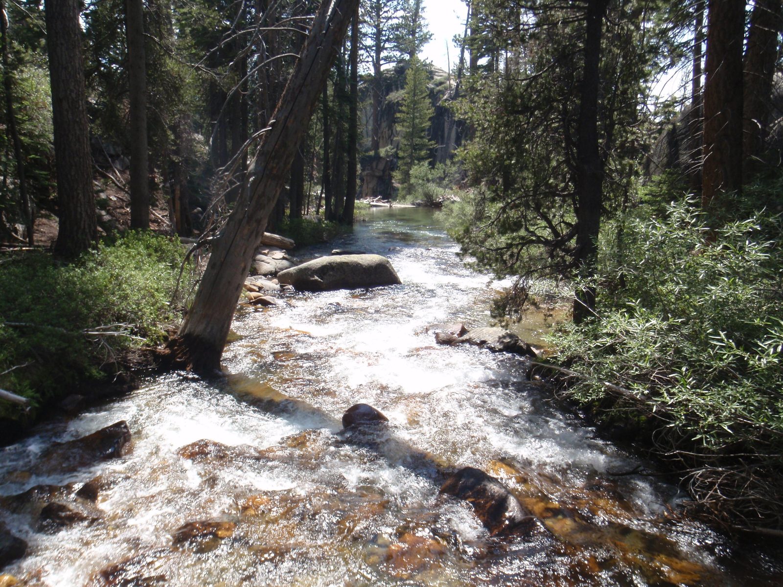 Lewis Creek, before joining with the mighty Fletcher.
