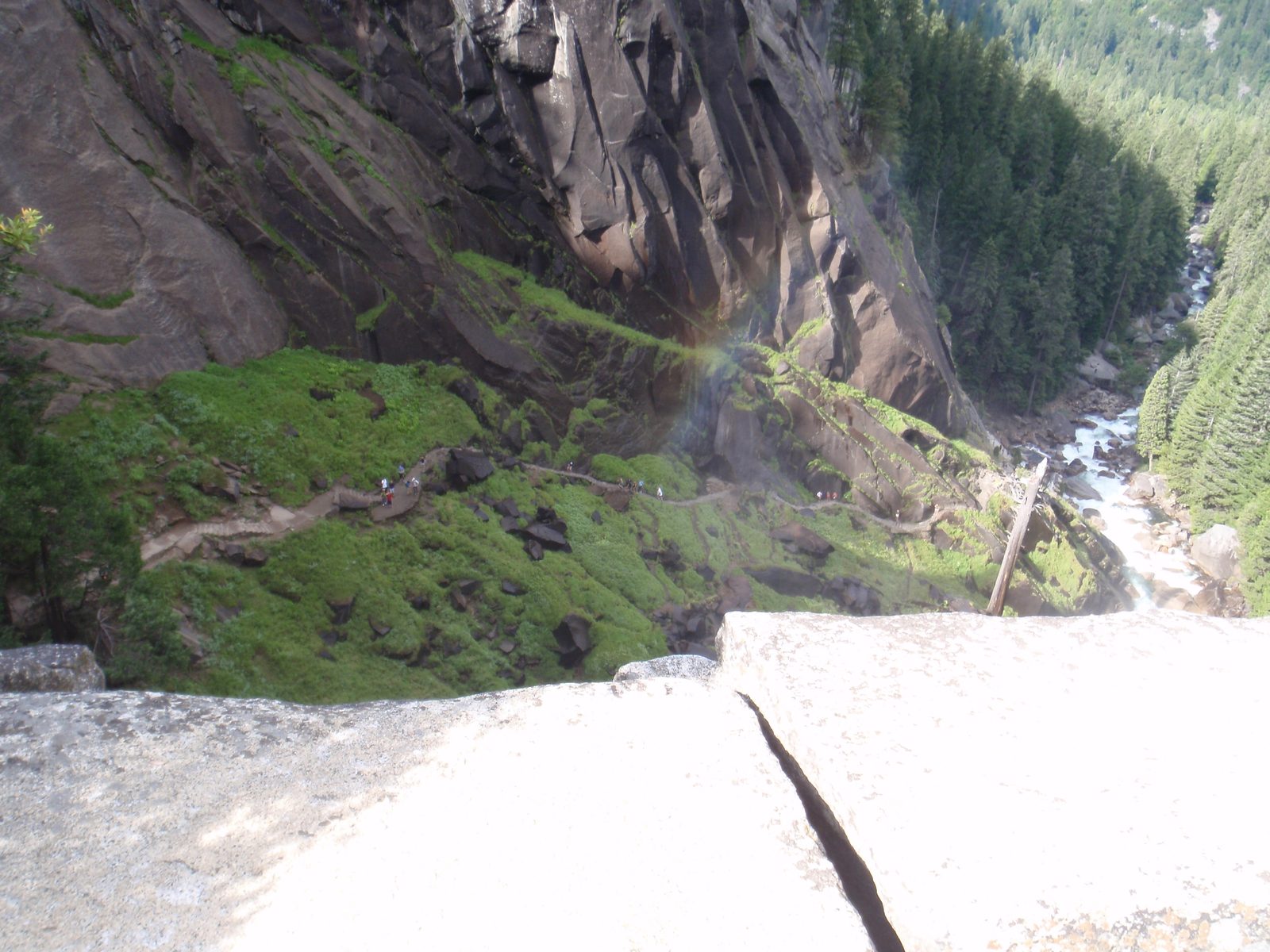 Mist Trail from as viewed from the top of Vernal Falls. Amazing all the plant life that thrives...