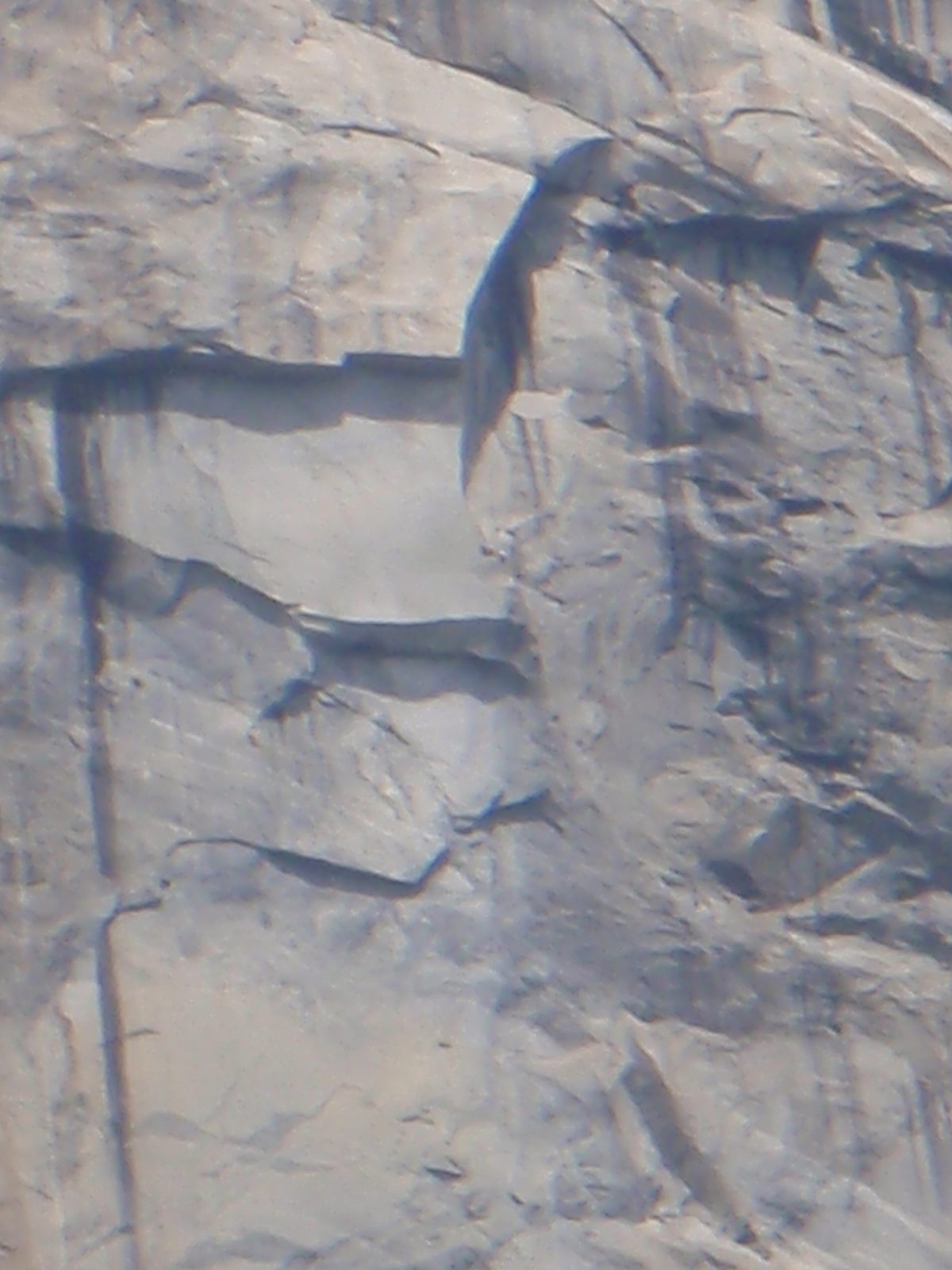 Zoomed in shot of a rope-soloist very close to the top.
