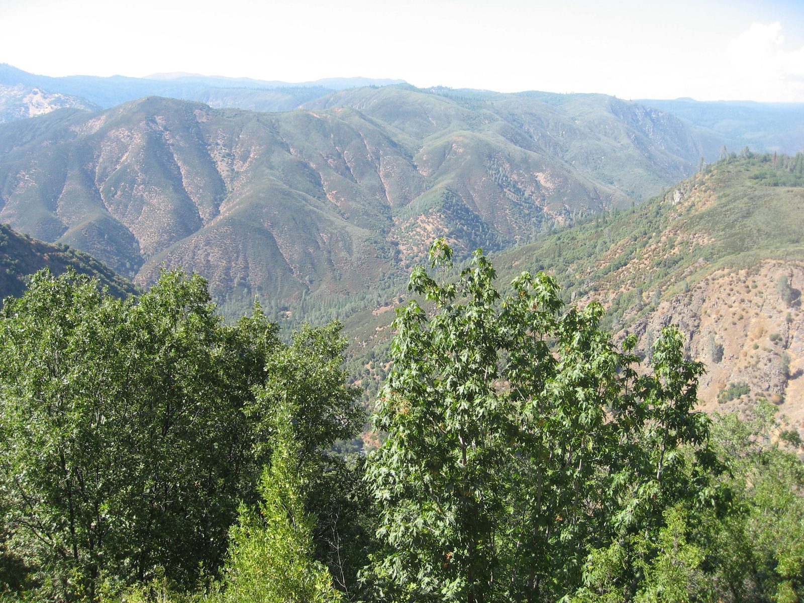 A river without a road. Looks epic! Somewhere down there is the South Fork of the Tuolumne...