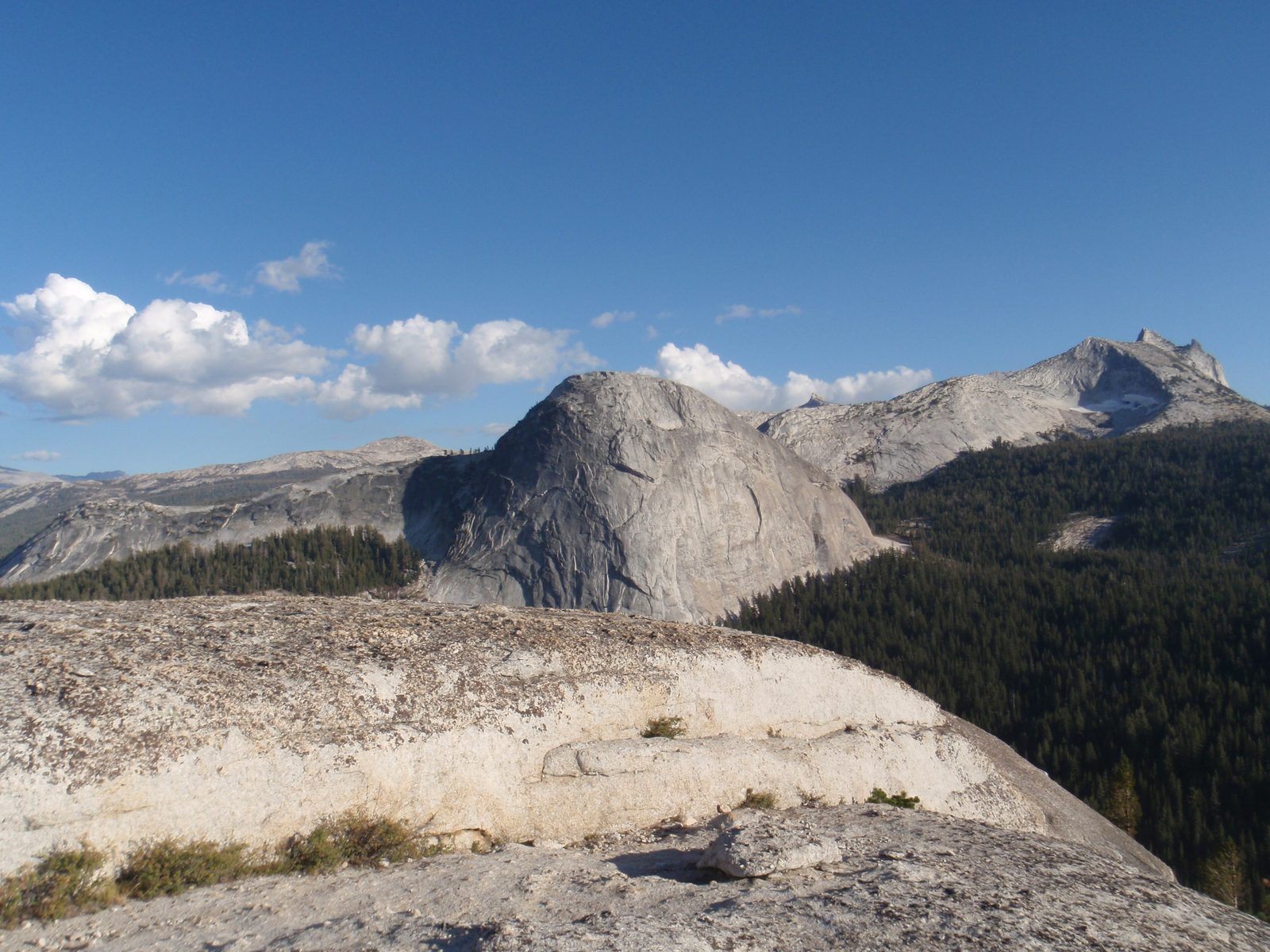 The massive north face of Fairview Dome, finally getting some sun in the late afternoon. Regular...
