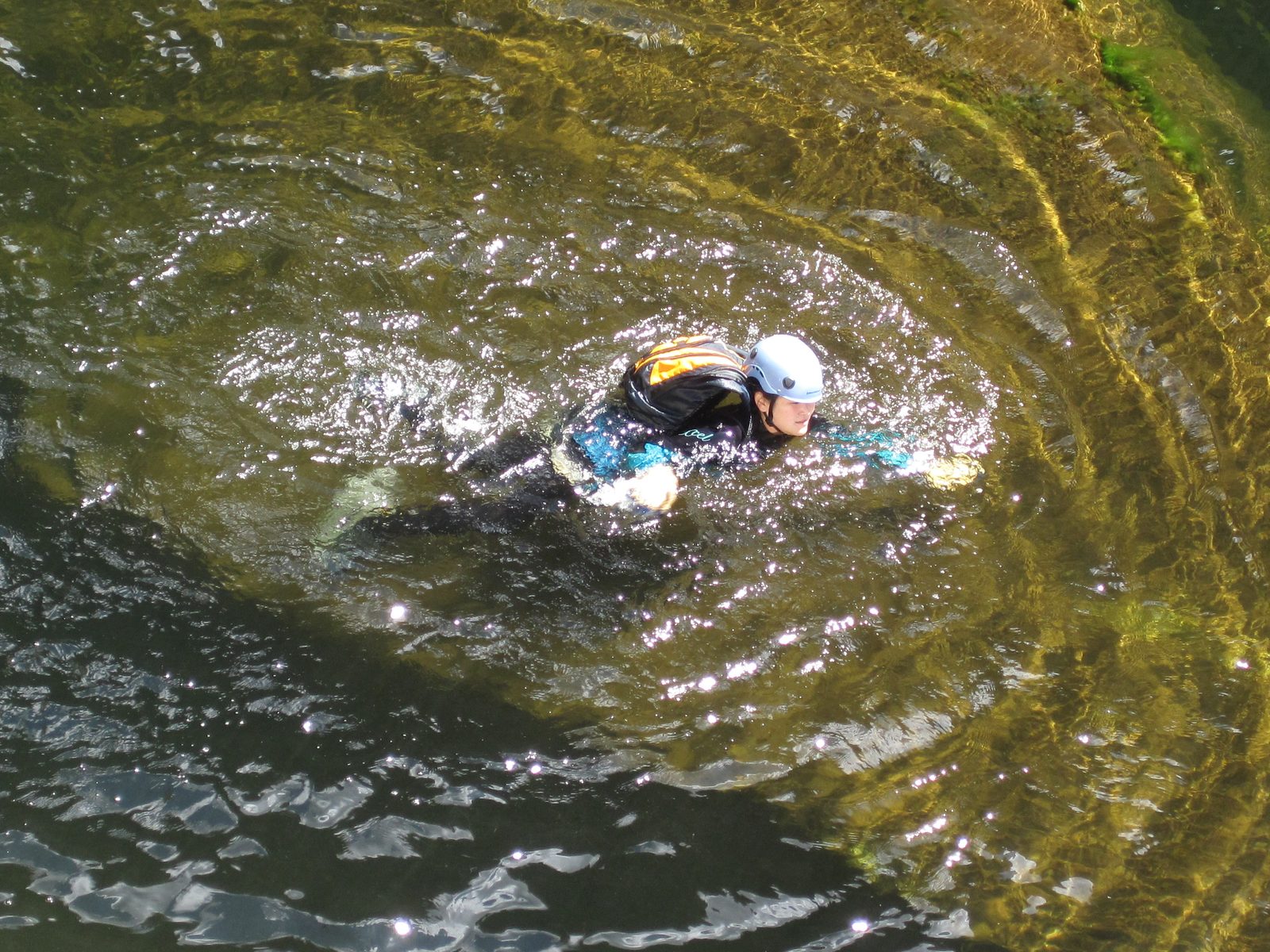 Monica swimming for land.